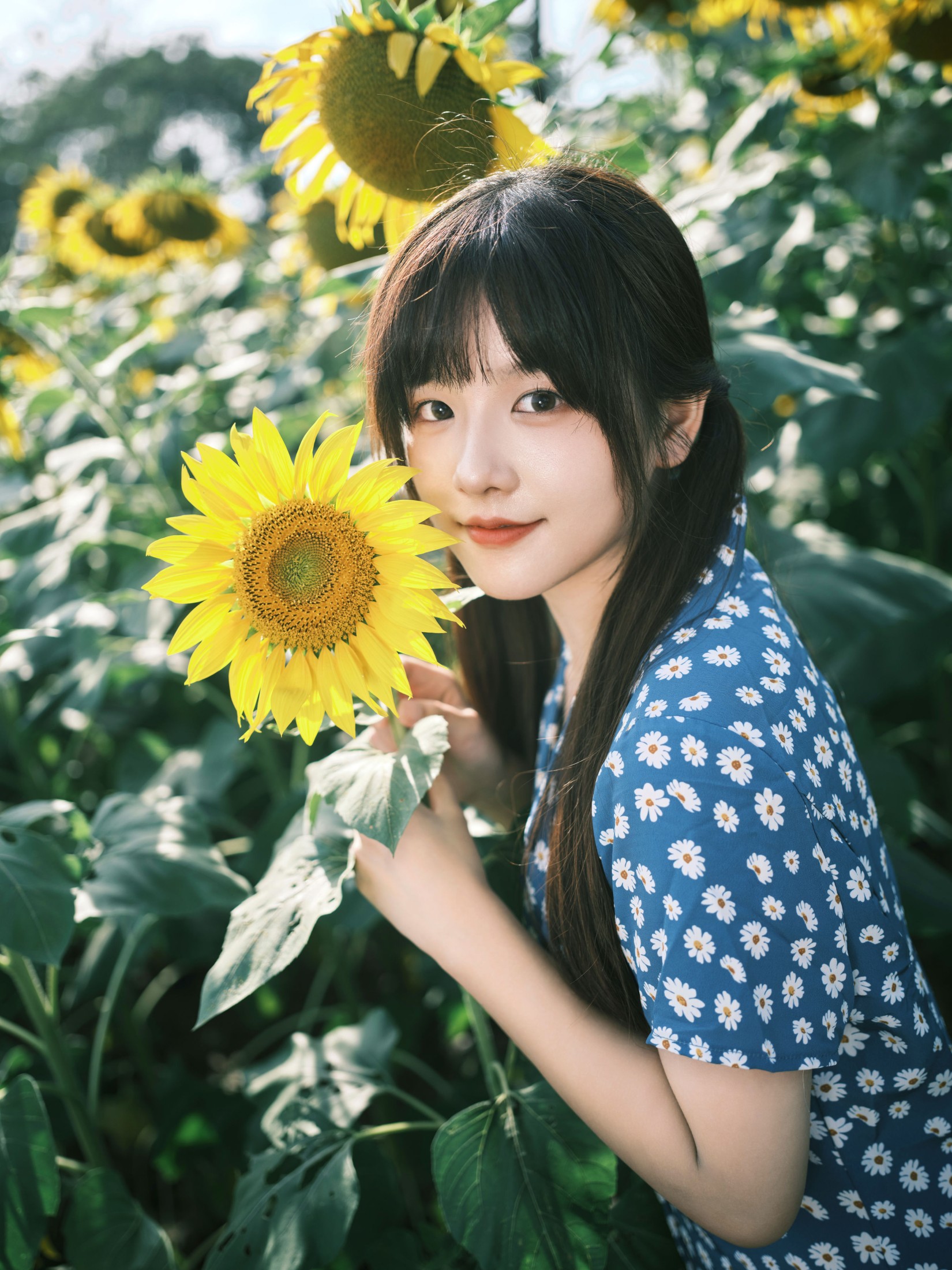 图片[3]-宵宵喵 – 《向日葵》[28P]-COS写真在线网