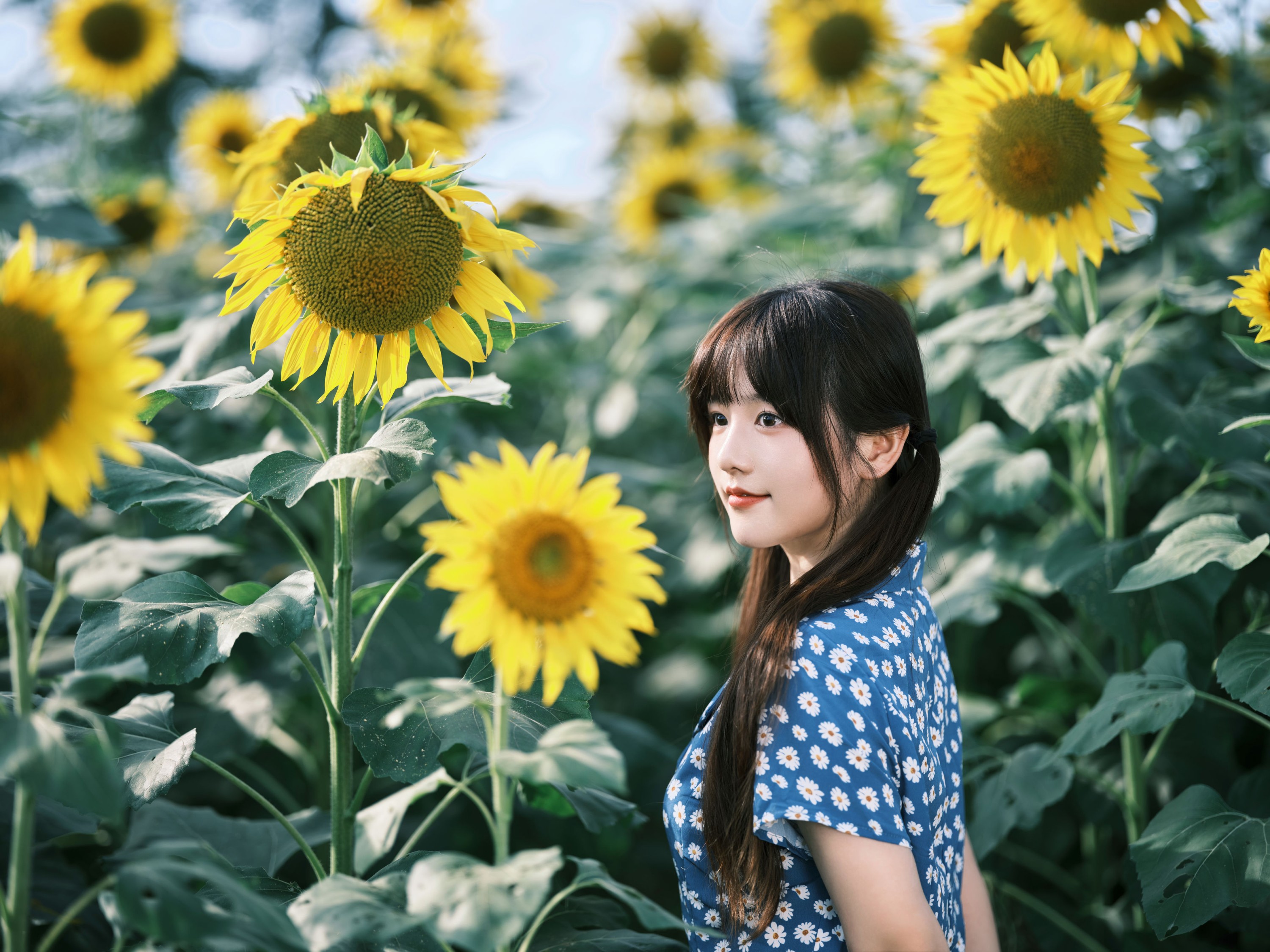 图片[4]-宵宵喵 – 《向日葵》[28P]-COS写真在线网