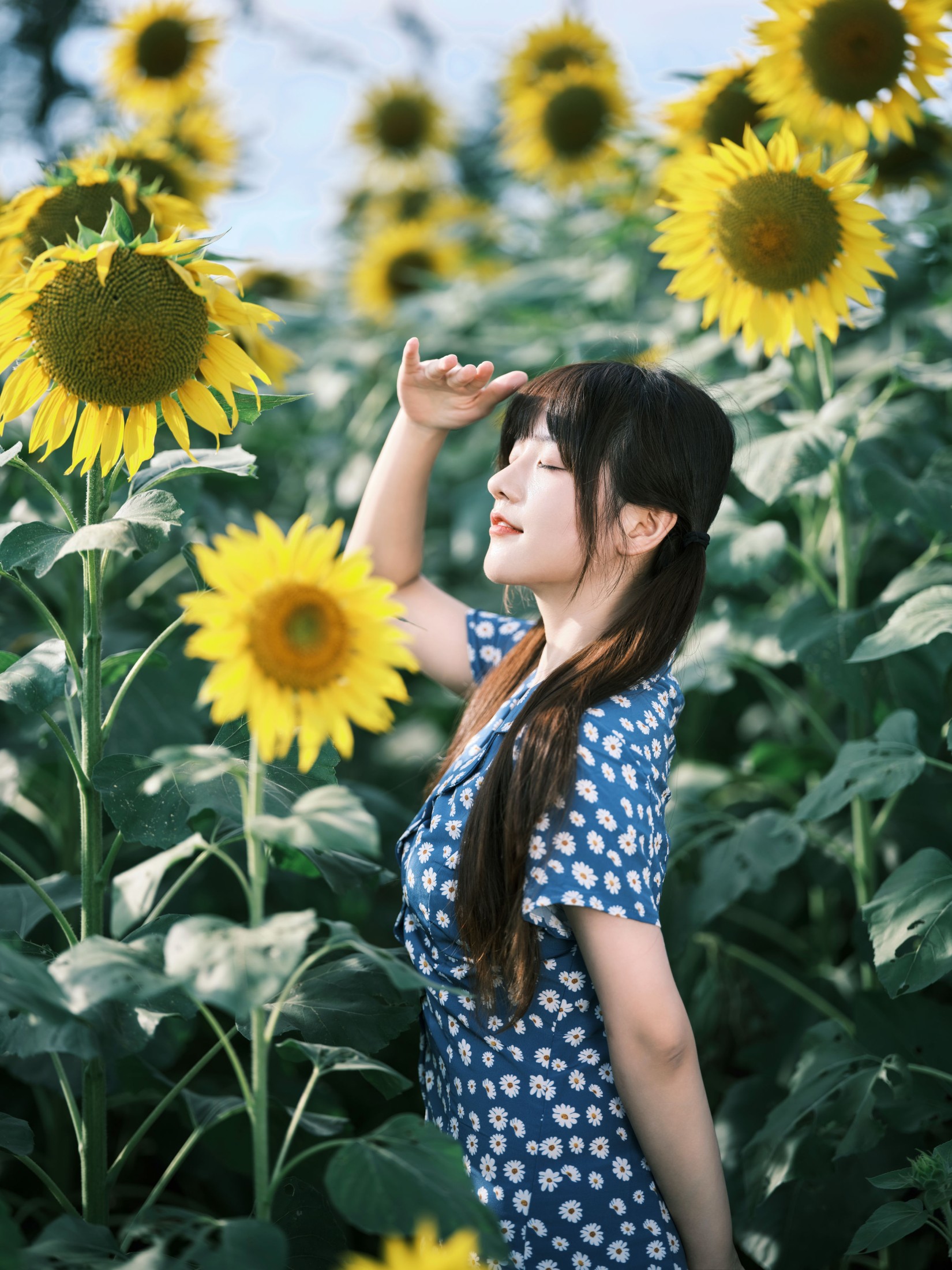 图片[5]-宵宵喵 – 《向日葵》[28P]-COS写真在线网