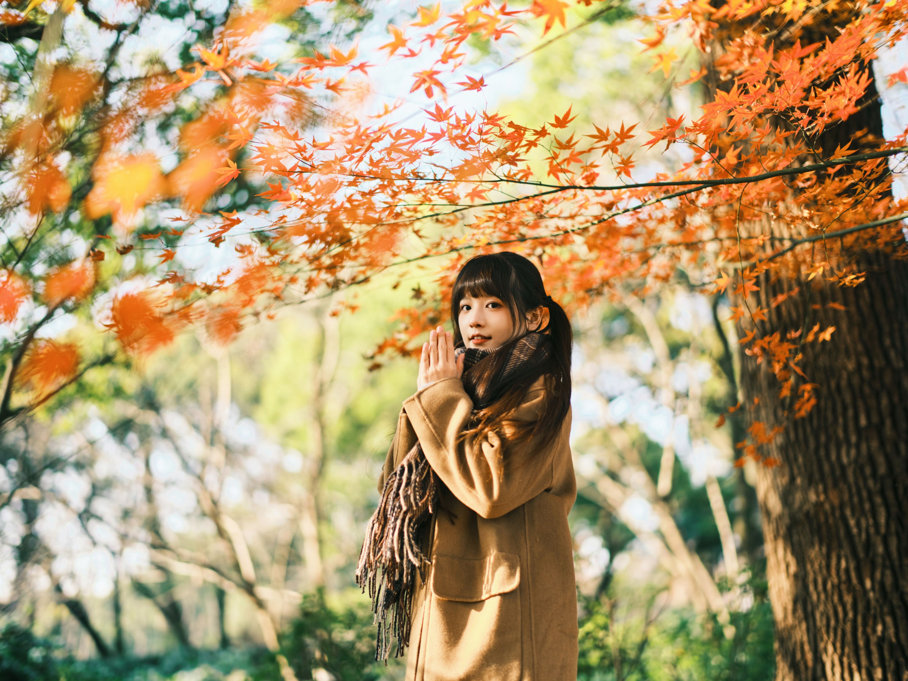 图片[3]-宵宵喵 – 《枫》[34P]-COS写真在线网