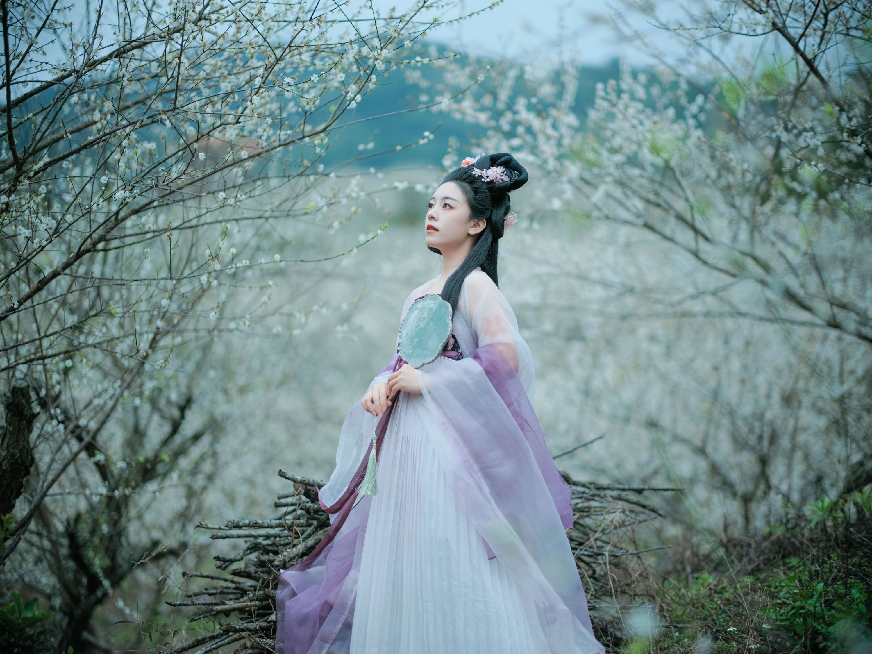 图片[5]-乐嫣 – 《梅花三弄》[27P]-COS写真在线网