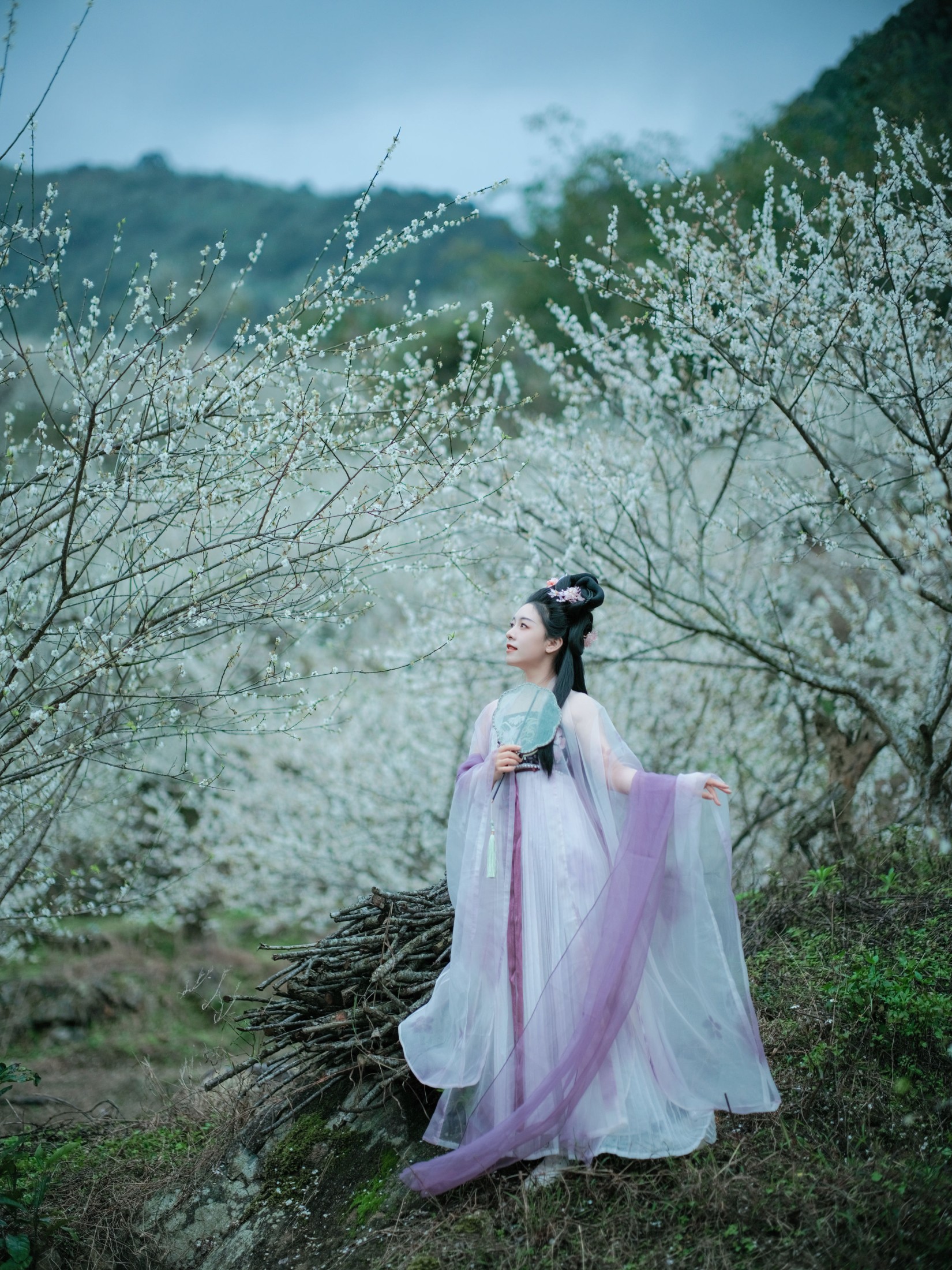 图片[3]-乐嫣 – 《梅花三弄》[27P]-COS写真在线网