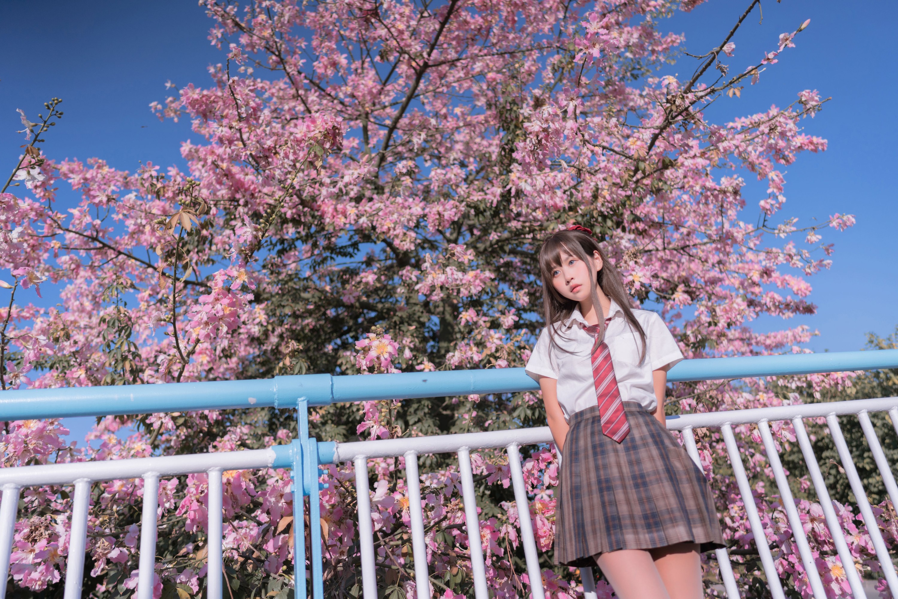 图片[4]-萌芽儿o0 – 《异木棉花》[28P]-COS写真在线网