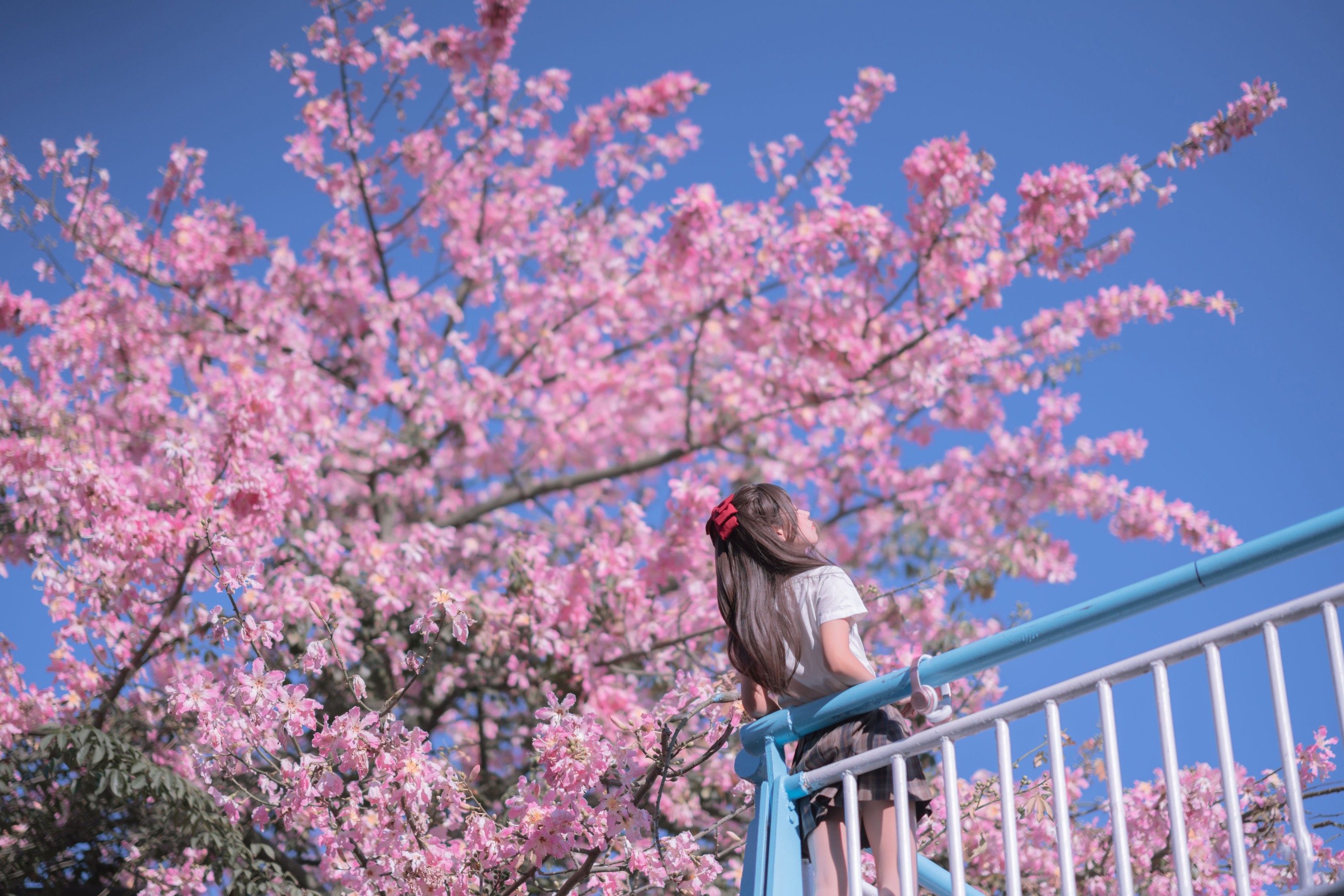 图片[3]-萌芽儿o0 – 《异木棉花》[28P]-COS写真在线网