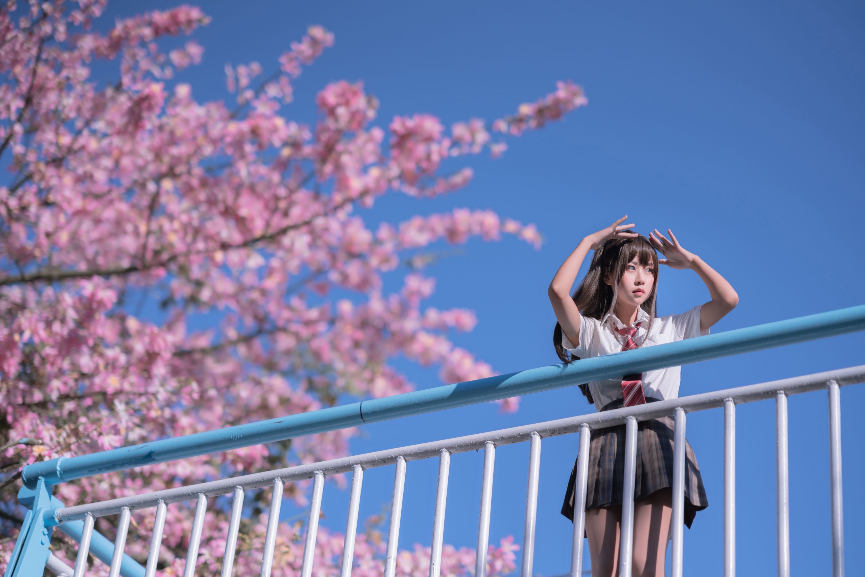 图片[5]-萌芽儿o0 – 《异木棉花》[28P]-COS写真在线网