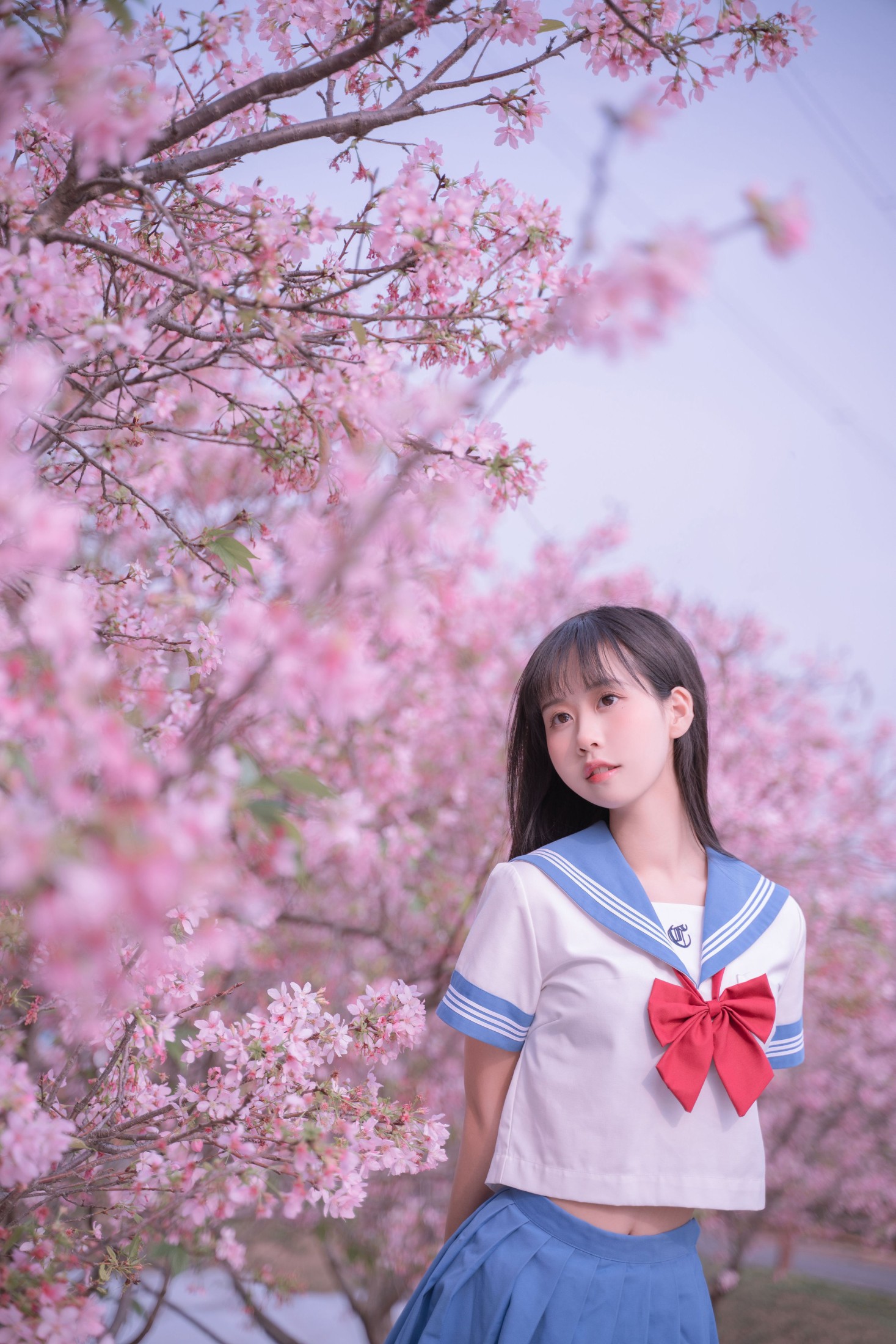 图片[6]-萌芽儿o0 – 《樱花jk》[32P]-COS写真在线网