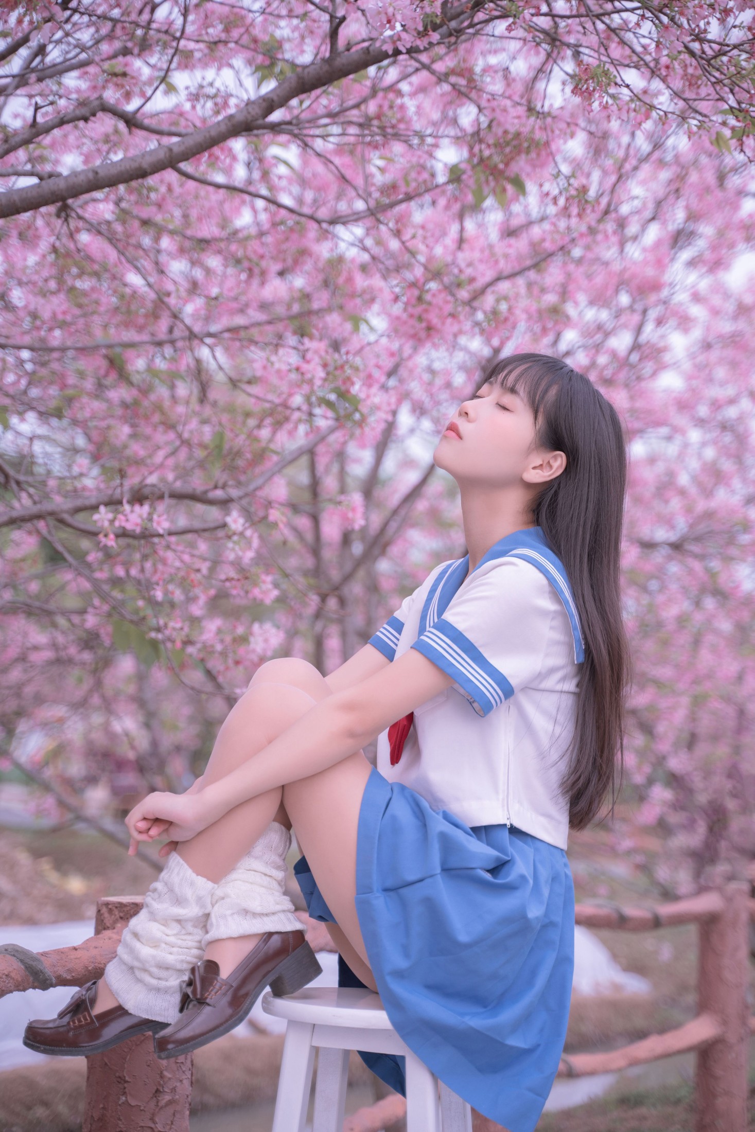 图片[5]-萌芽儿o0 – 《樱花jk》[32P]-COS写真在线网