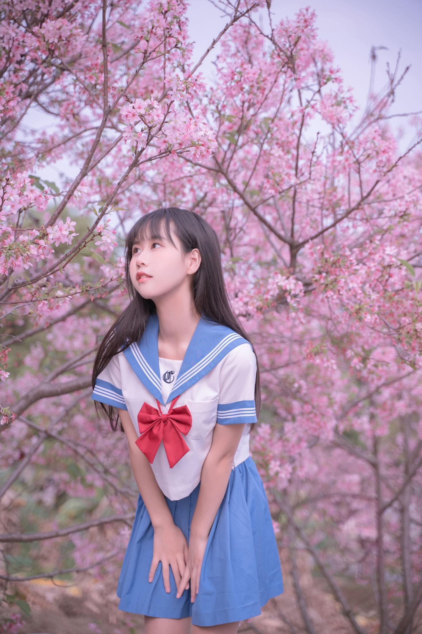 图片[3]-萌芽儿o0 – 《樱花jk》[32P]-COS写真在线网