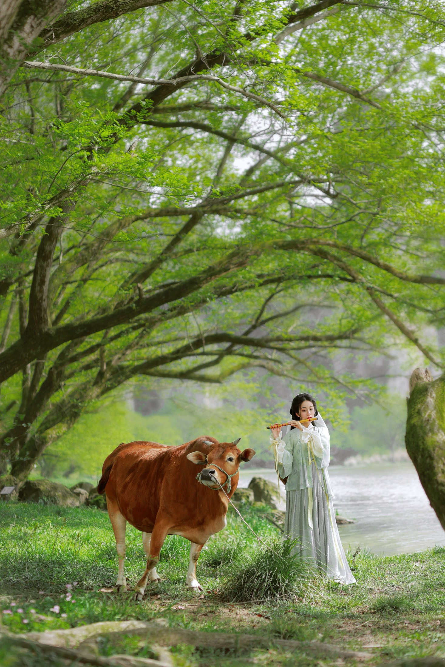 图片[6]-小清菡呀  – 《 牧牛》[22P]-COS写真在线网