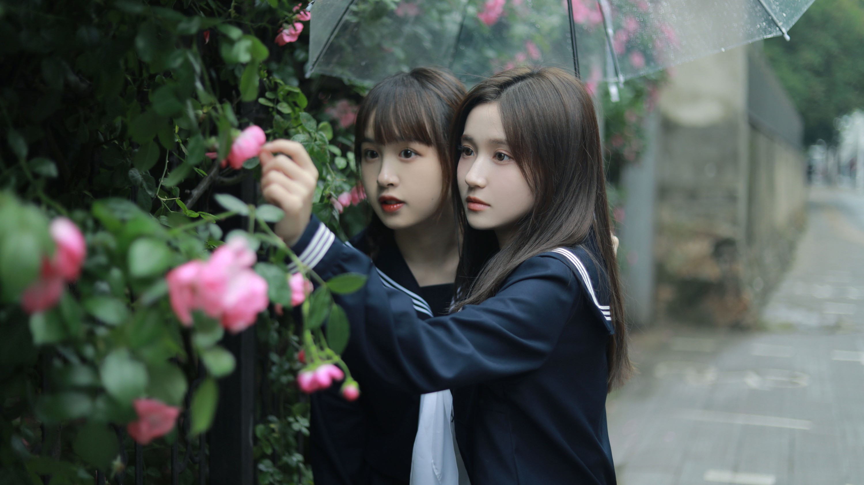 图片[3]-大元梦二 璨璨 – 《花与爱丽丝》[30P]-COS写真在线网