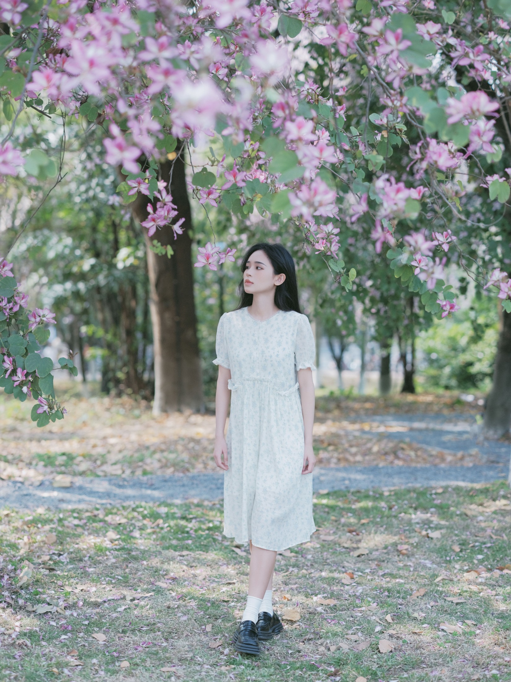图片[3]-仲夏廿一 – 《时光画卷》[40P]-COS写真在线网