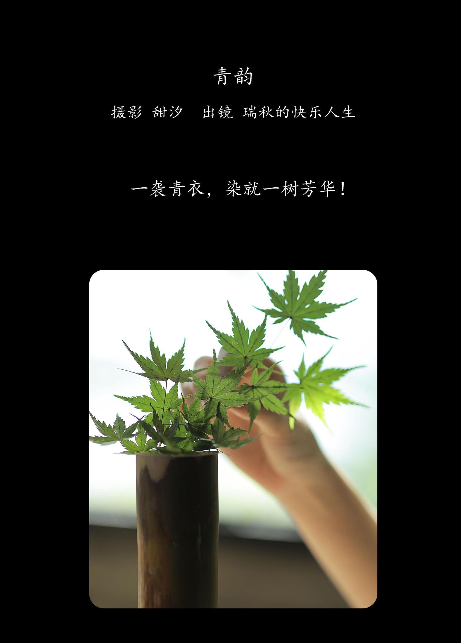 图片[2]-瑞秋的快乐人生 – 《青韵》[20P]-COS写真在线网