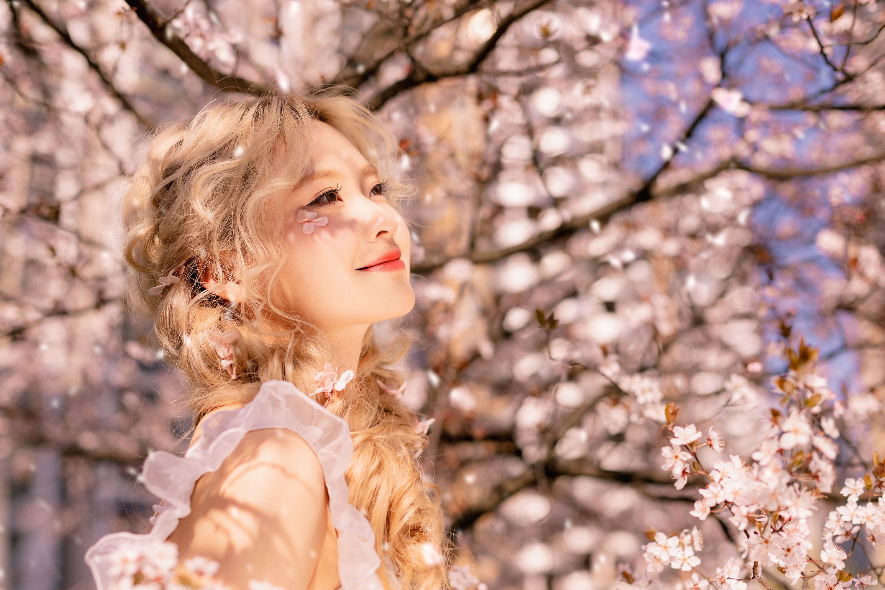 图片[5]-羔丽代 – 《樱花树下的春意》[22P]-COS写真在线网