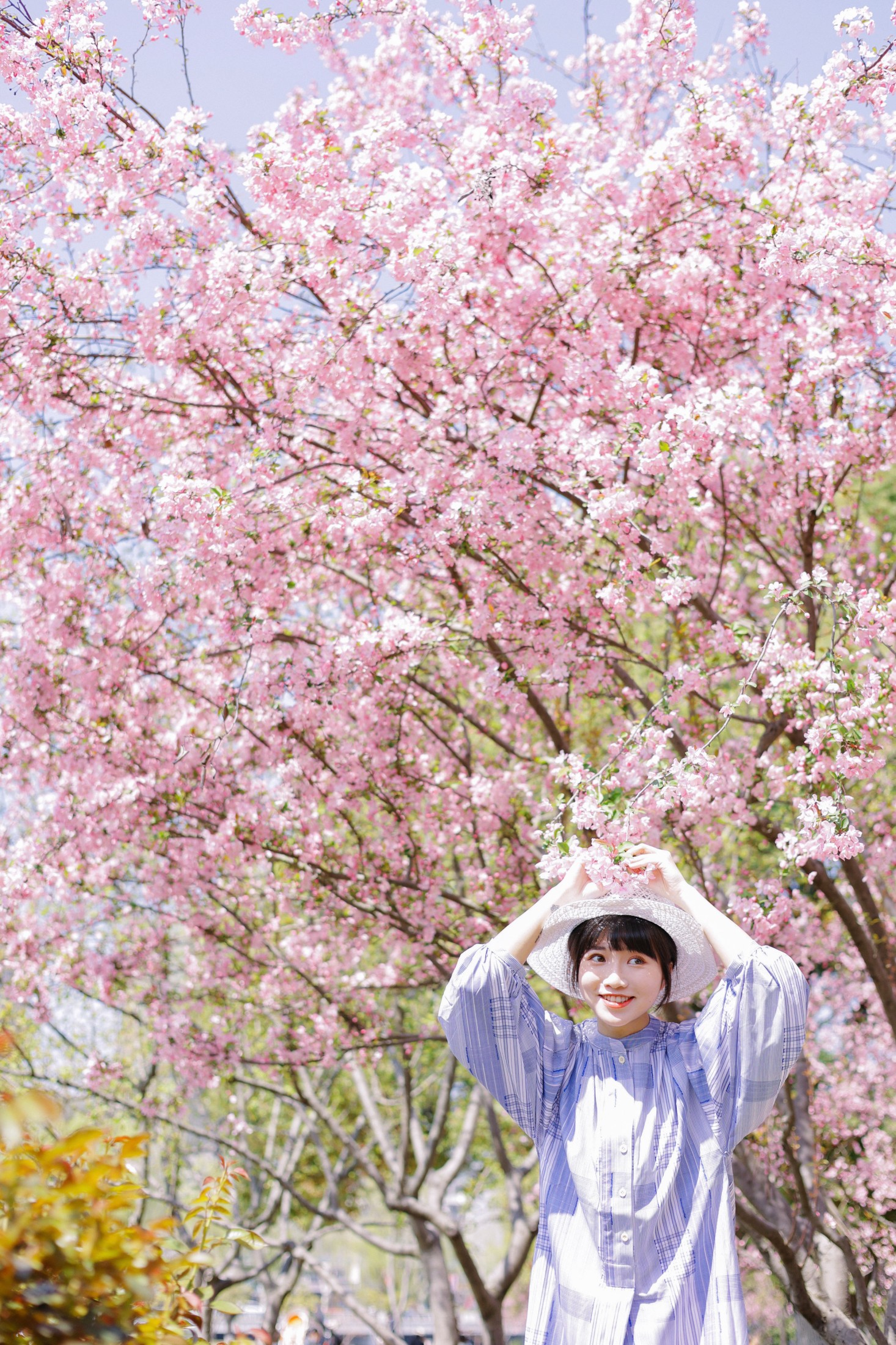 图片[3]-蓝胖子 – 《海棠花开》[36P]-COS写真在线网