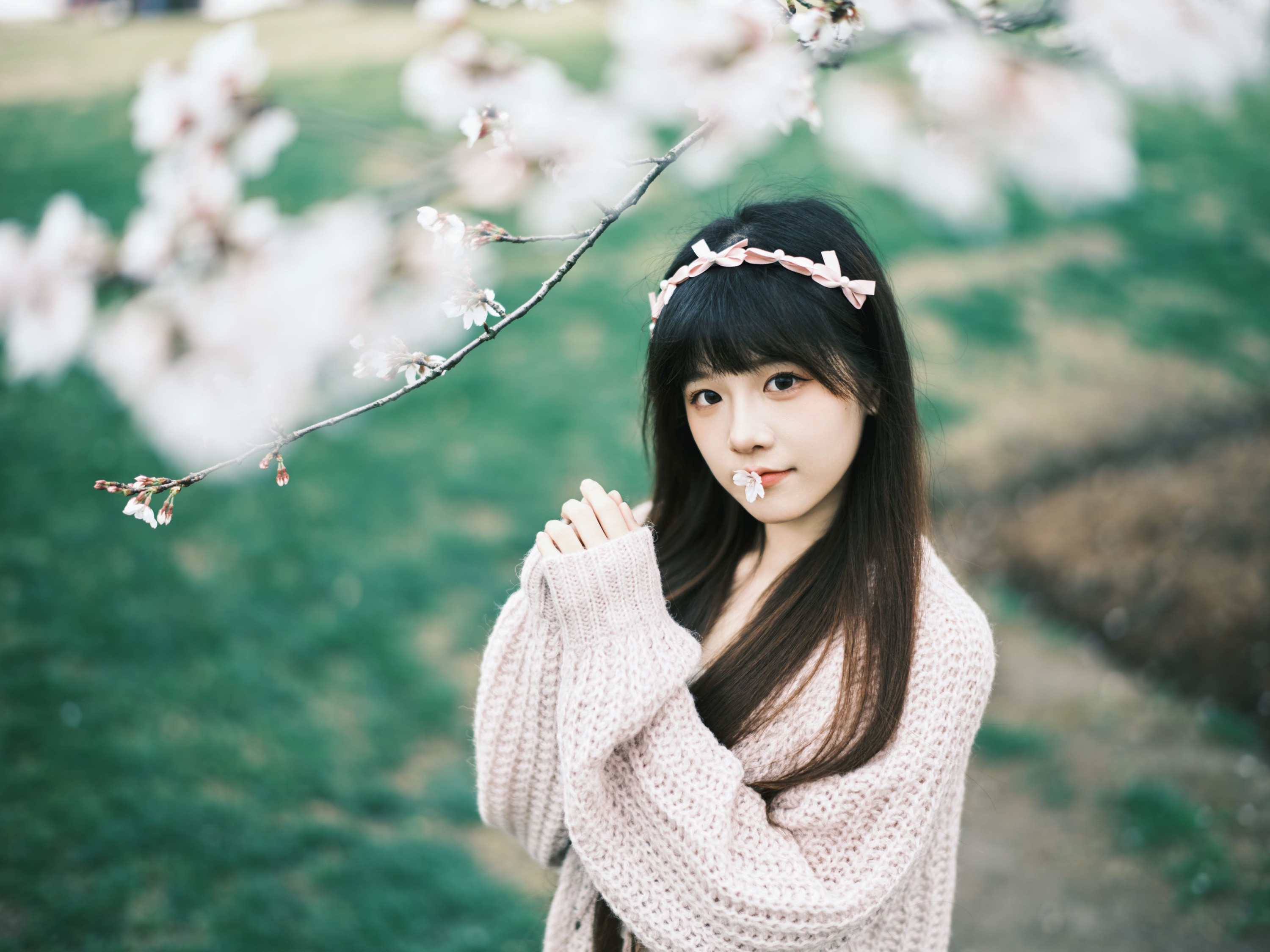 图片[5]-宵宵喵 – 《染井吉野樱》[78P]-COS写真在线网