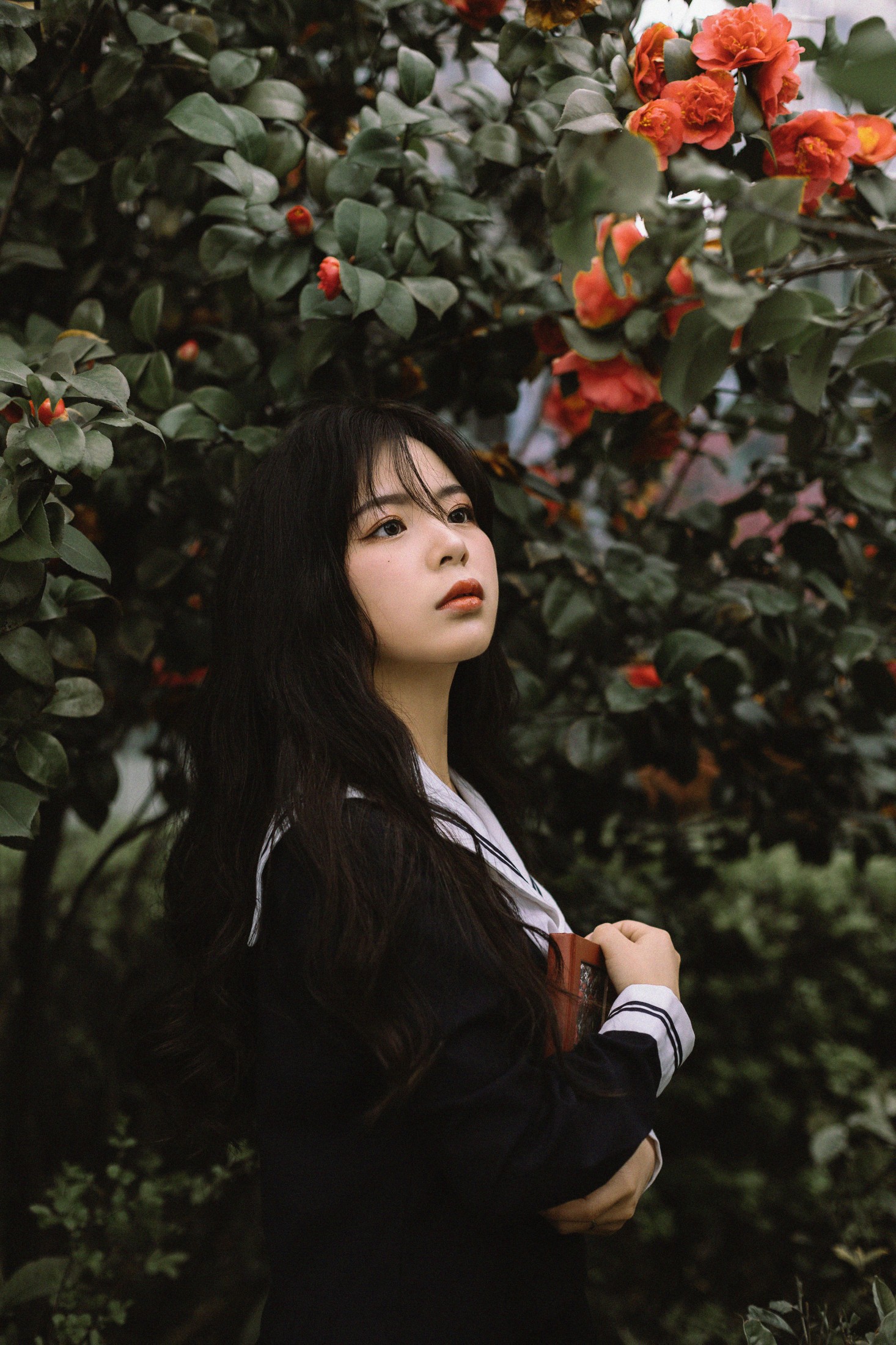图片[3]-是小白噢 – 《茶花树下的少女》[26P]-COS写真在线网