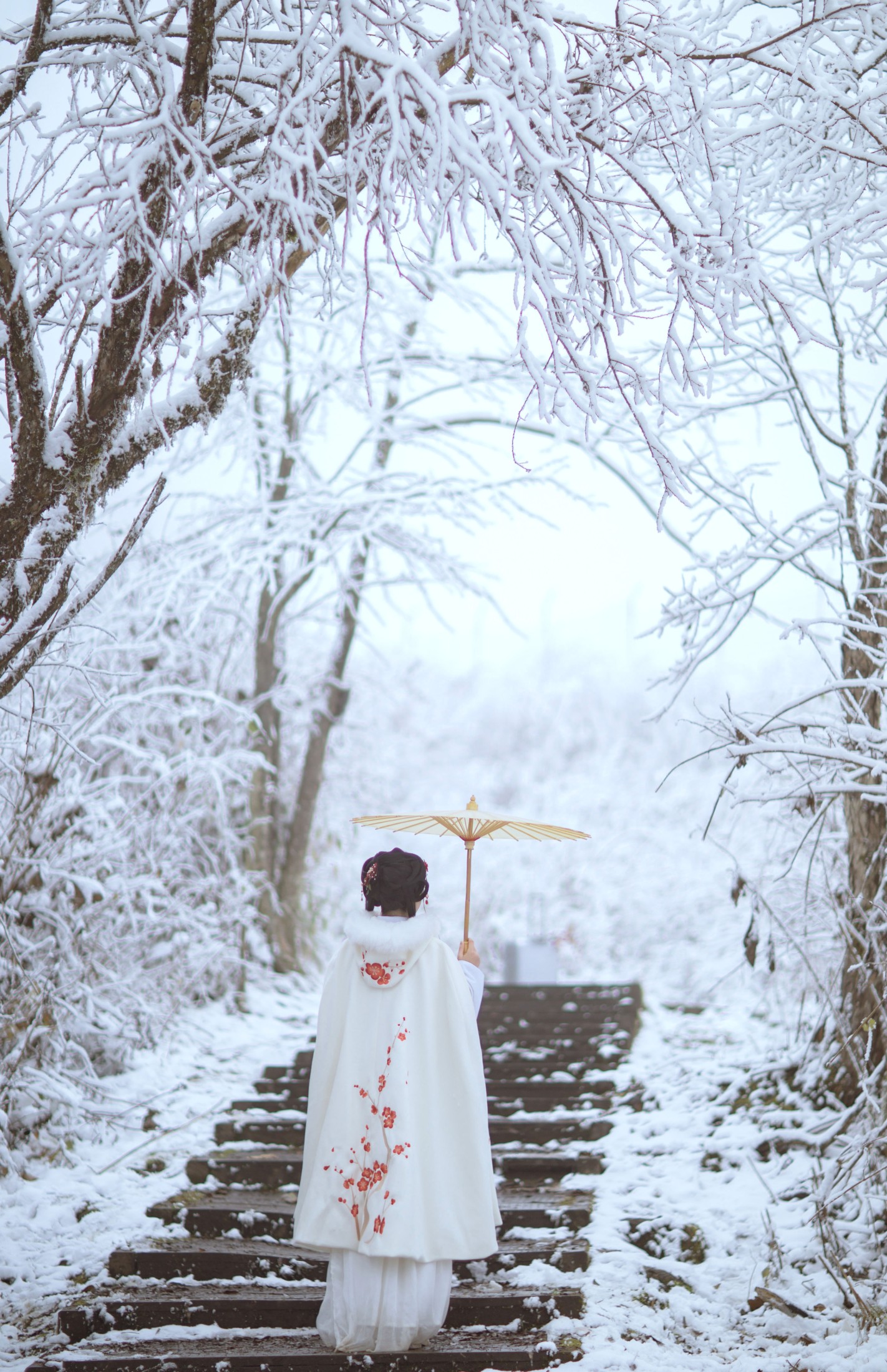图片[5]-小风加载中 – 《梅花香自苦寒来》[25P]-COS写真在线网