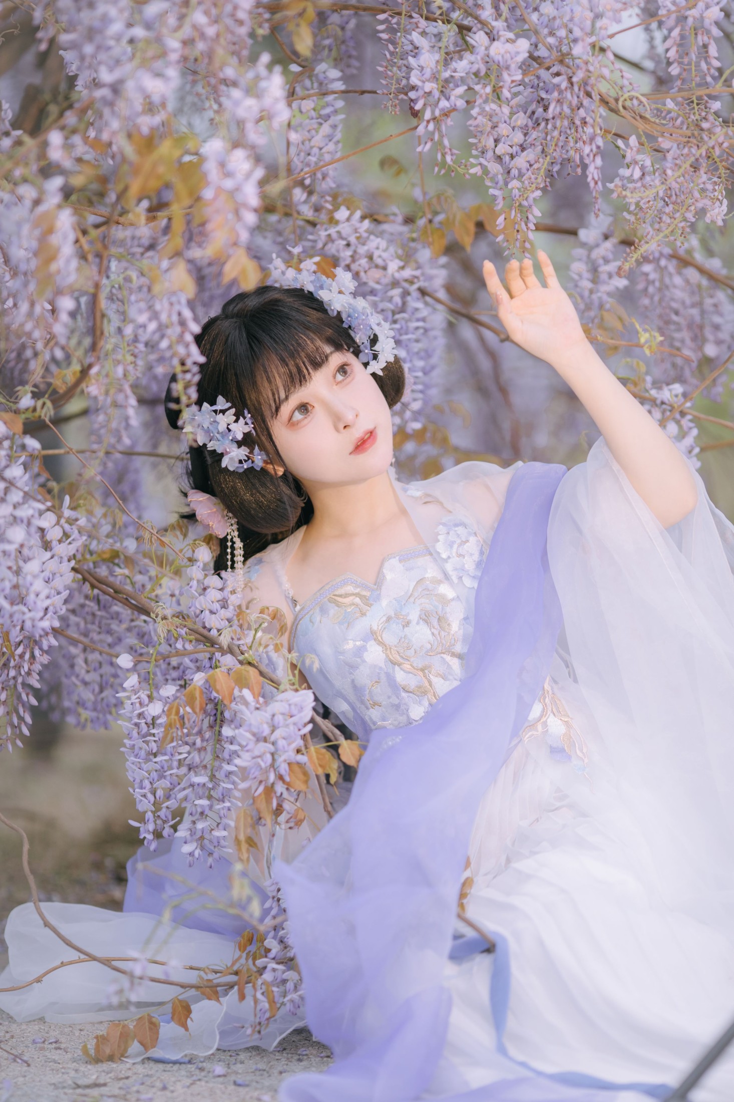 图片[3]-麻辣孔雀 – 《紫藤小花仙》[20P]-COS写真在线网