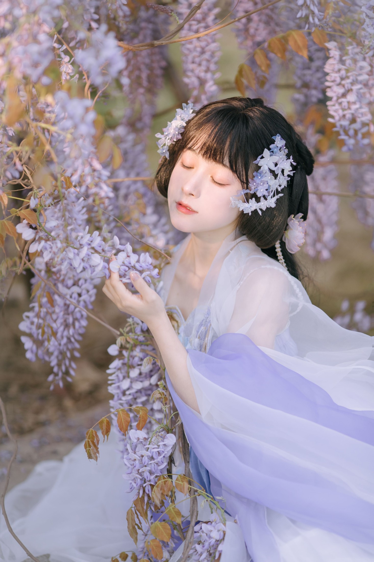 图片[4]-麻辣孔雀 – 《紫藤小花仙》[20P]-COS写真在线网