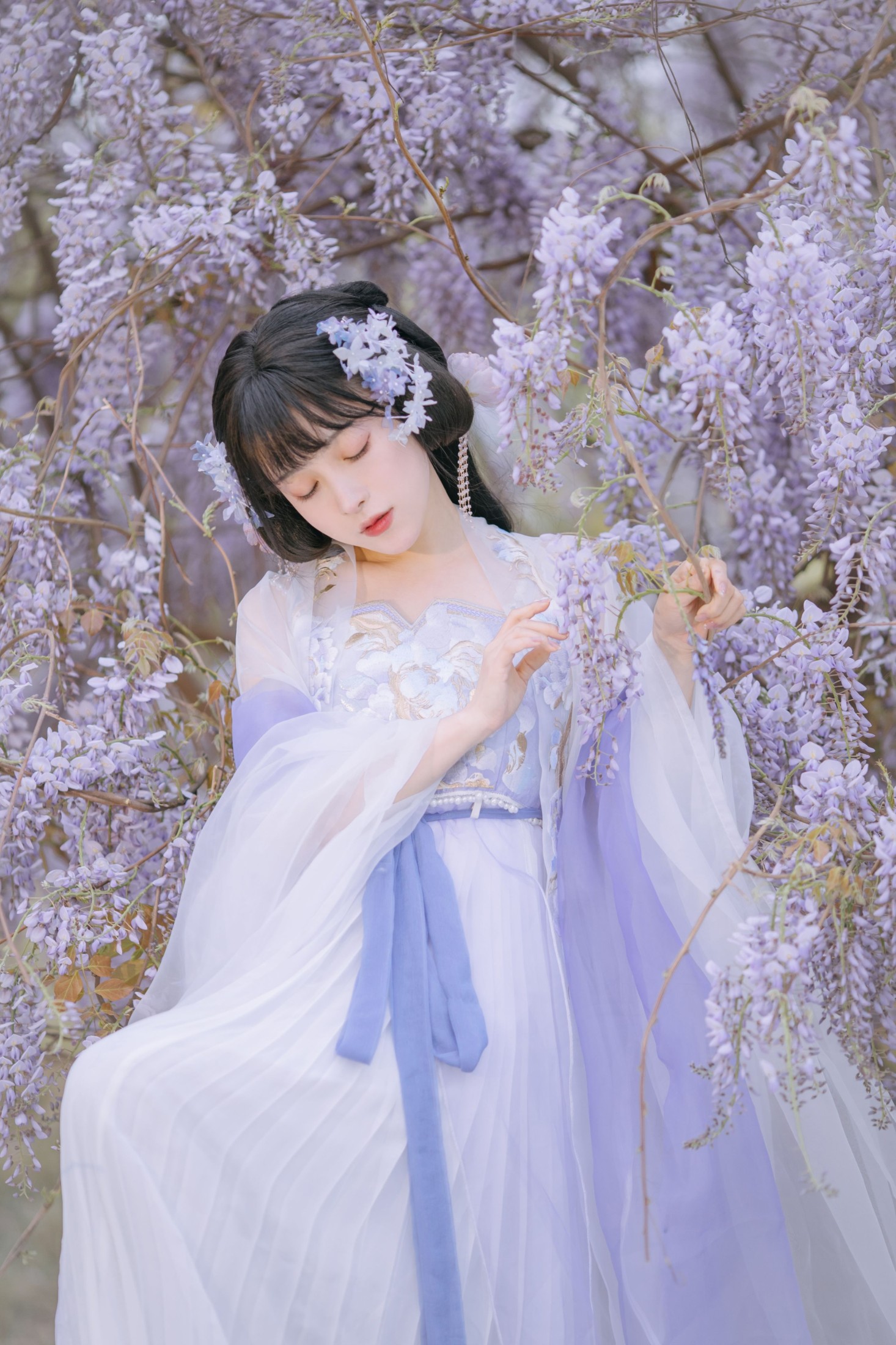 图片[5]-麻辣孔雀 – 《紫藤小花仙》[20P]-COS写真在线网