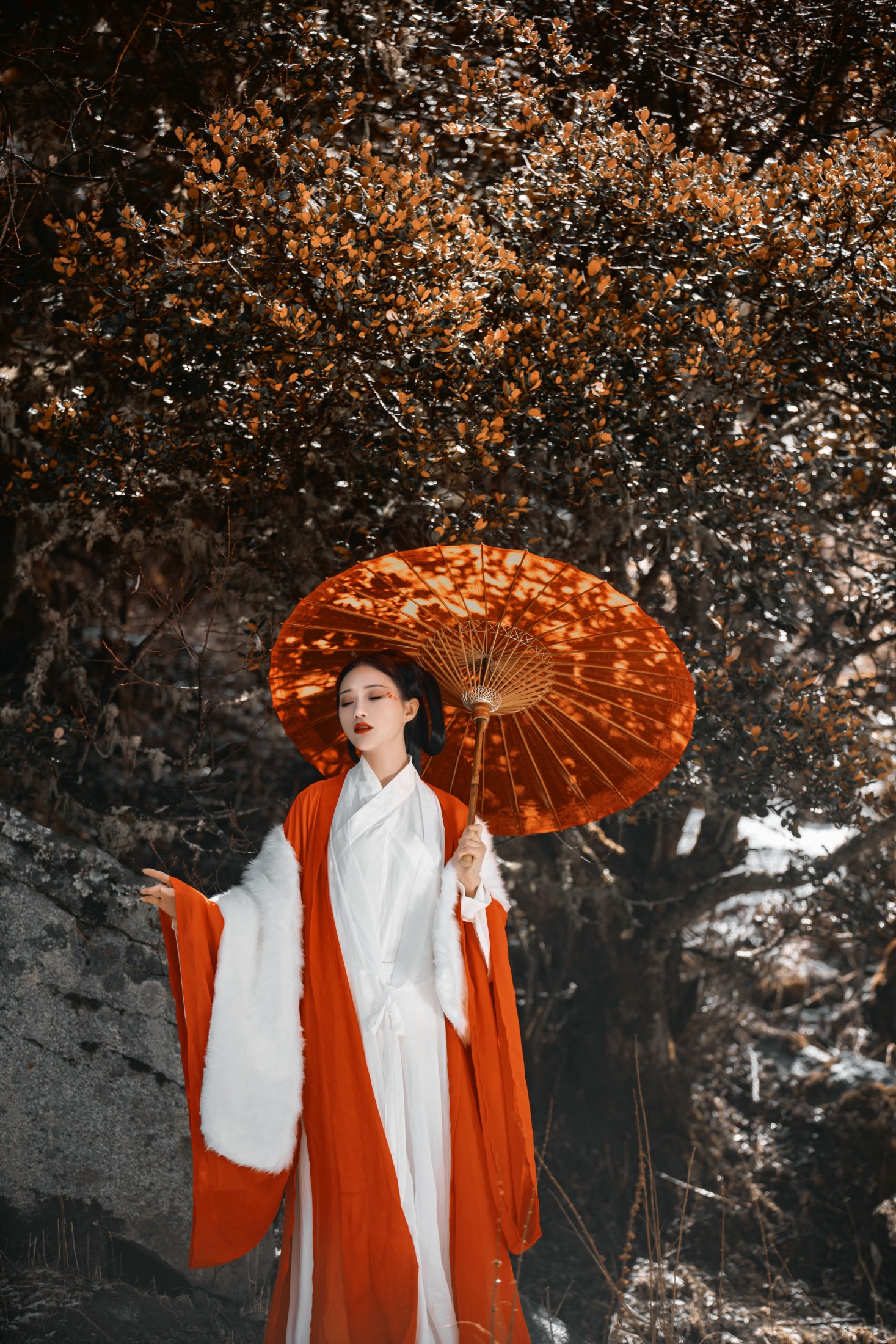 图片[3]-薇薇 – 《山林》[27P]-COS写真在线网