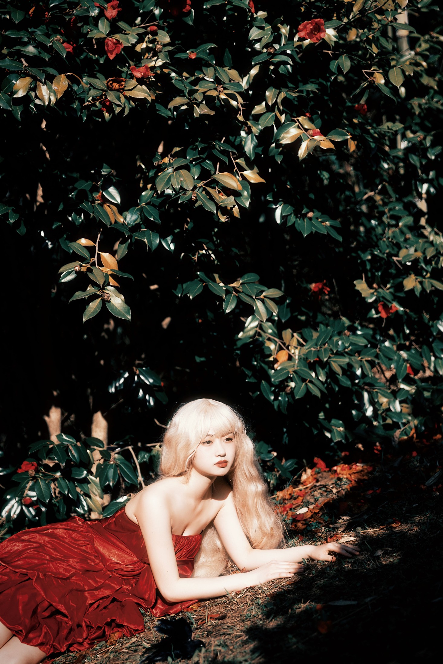 图片[5]-natasha – 《荼蘼花事了》[24P]-COS写真在线网