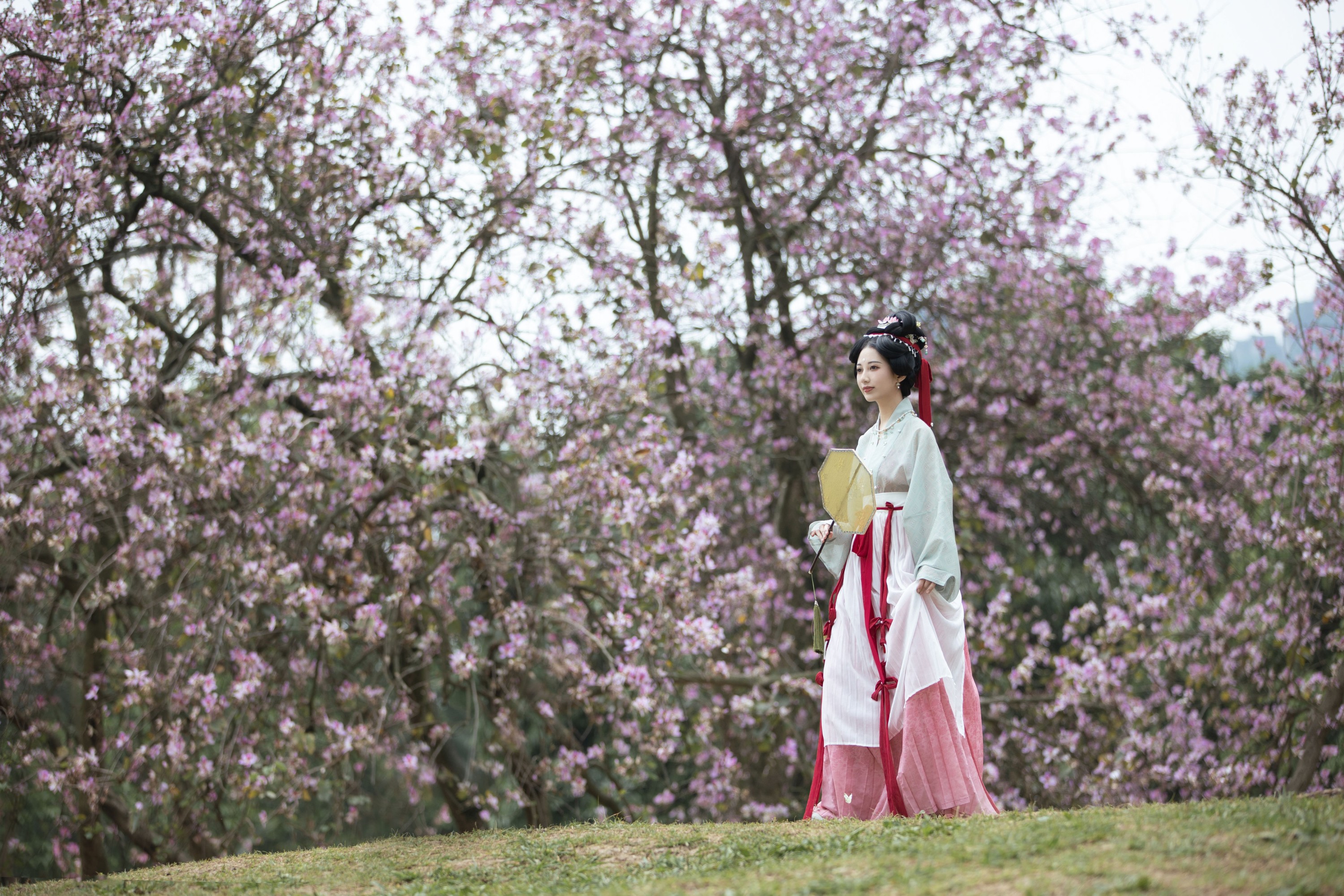 图片[3]-Evil – 《落花情》[35P]-COS写真在线网