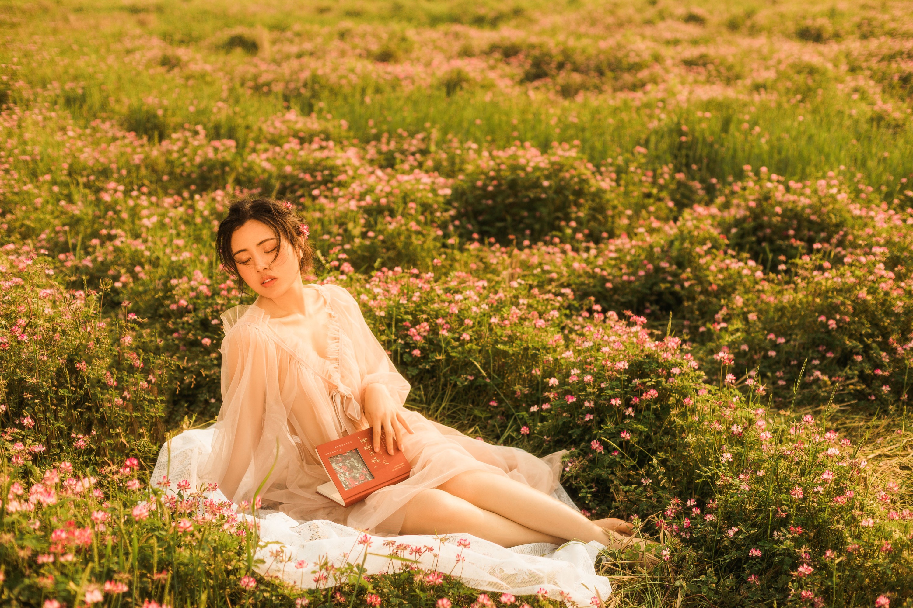 图片[3]-安妮 – 《紫云英的浪漫》[27P]-COS写真在线网