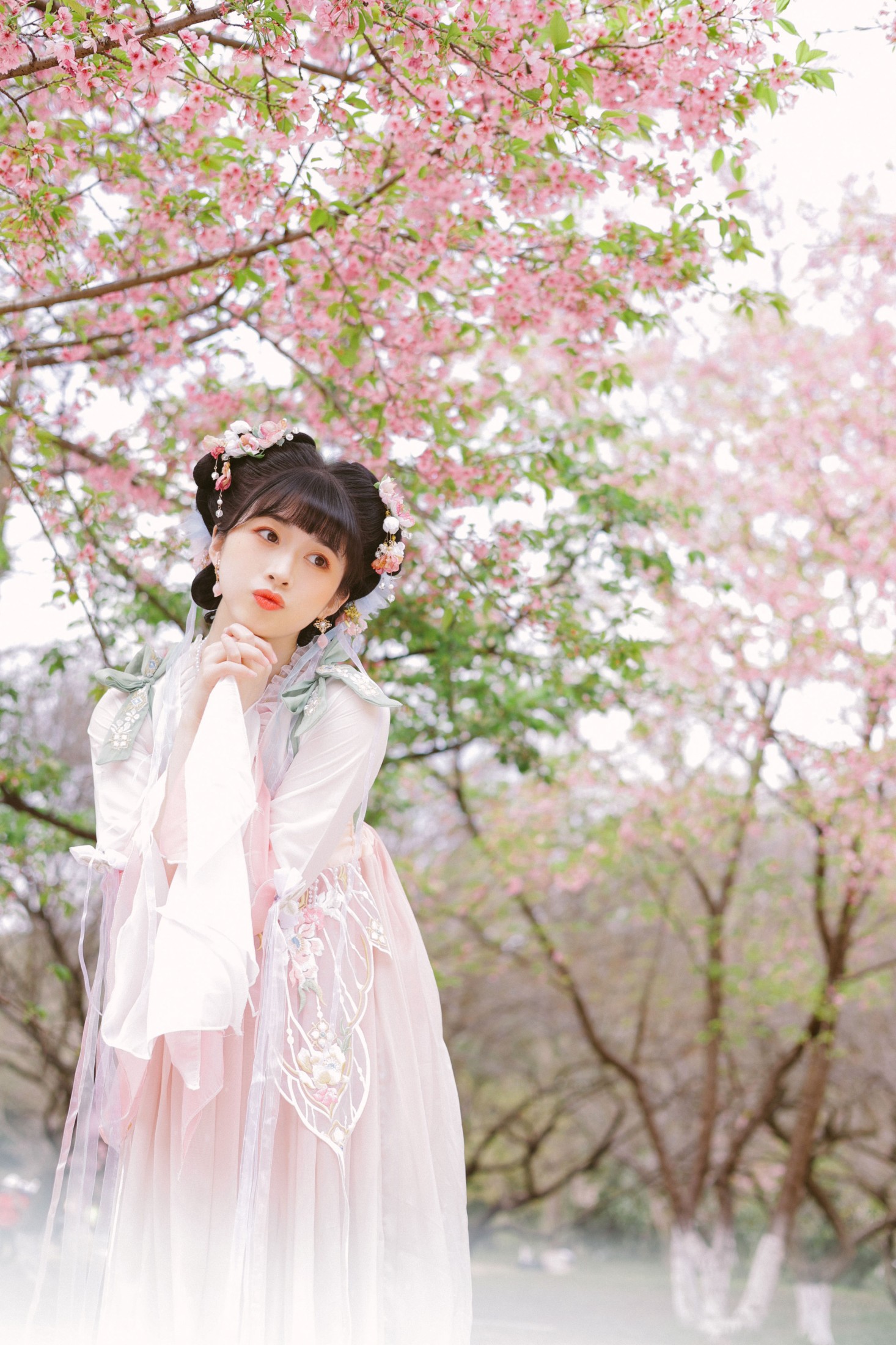 图片[3]-breezyzm – 《少女与樱花》[26P]-COS写真在线网