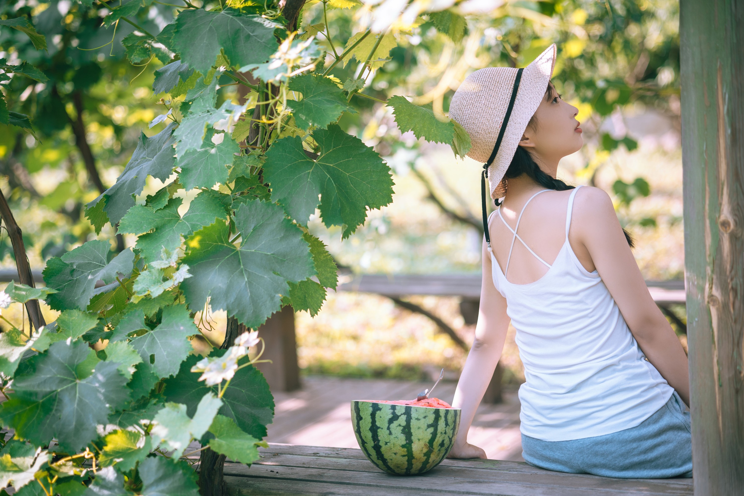 娇娇 – 《盛夏西瓜少女》[21P] - 秀人网免费无水印在线套图写真
