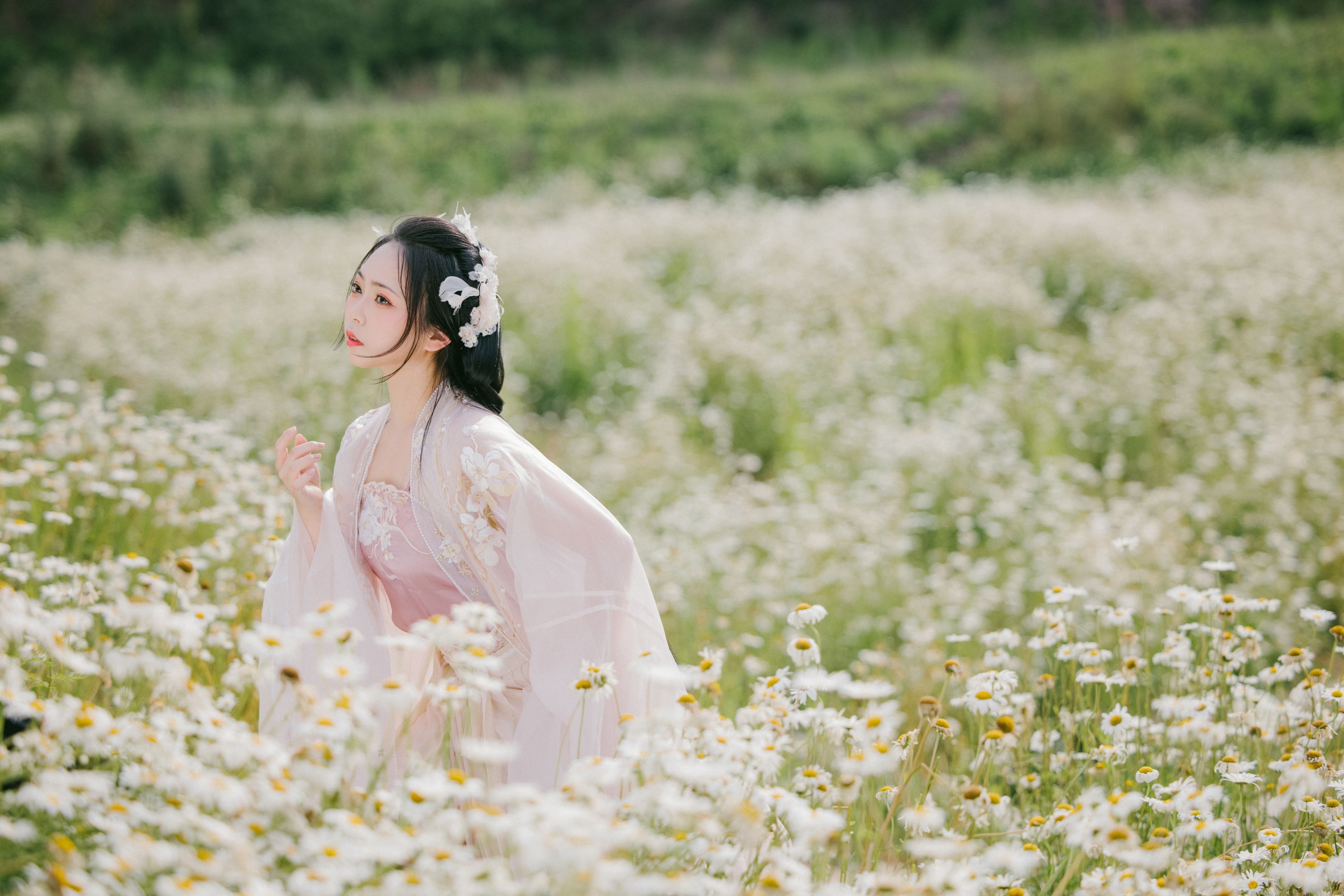 图片[5]-阡墨红尘 – 《雏菊花海》[23P]-COS写真在线网