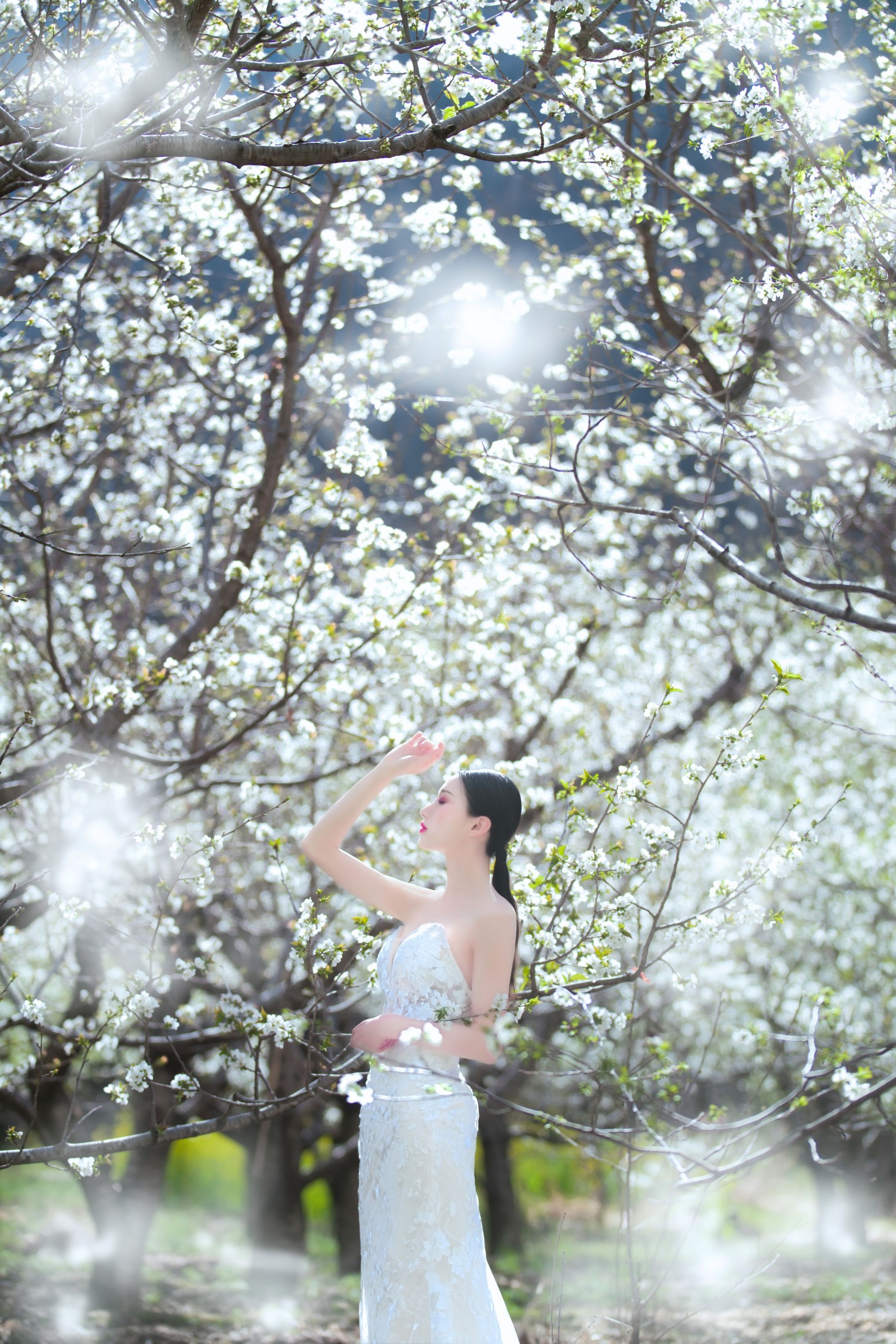 图片[3]-薇薇 – 《花季》[34P]-COS写真在线网