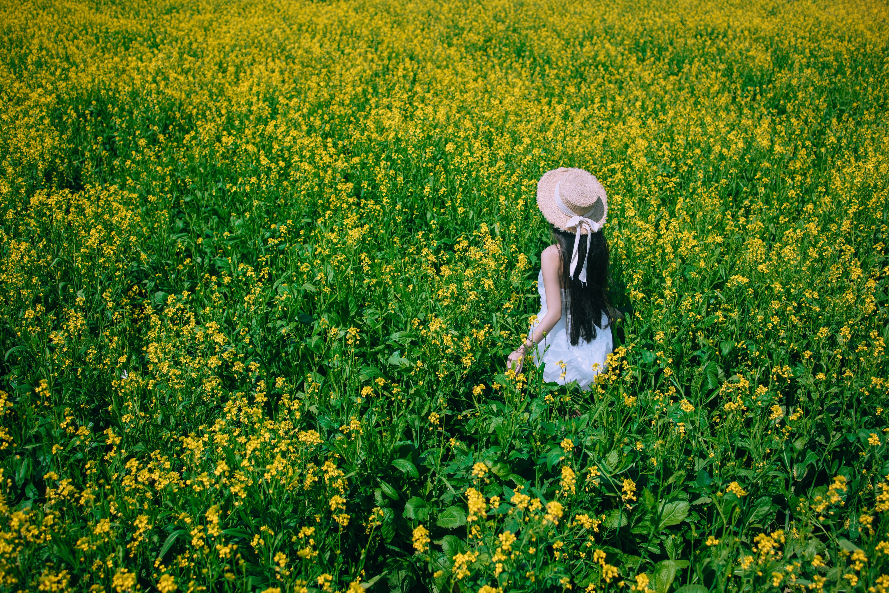 图片[4]-四月羊大冒险 – 《少女油菜花写真》[50P]-COS写真在线网