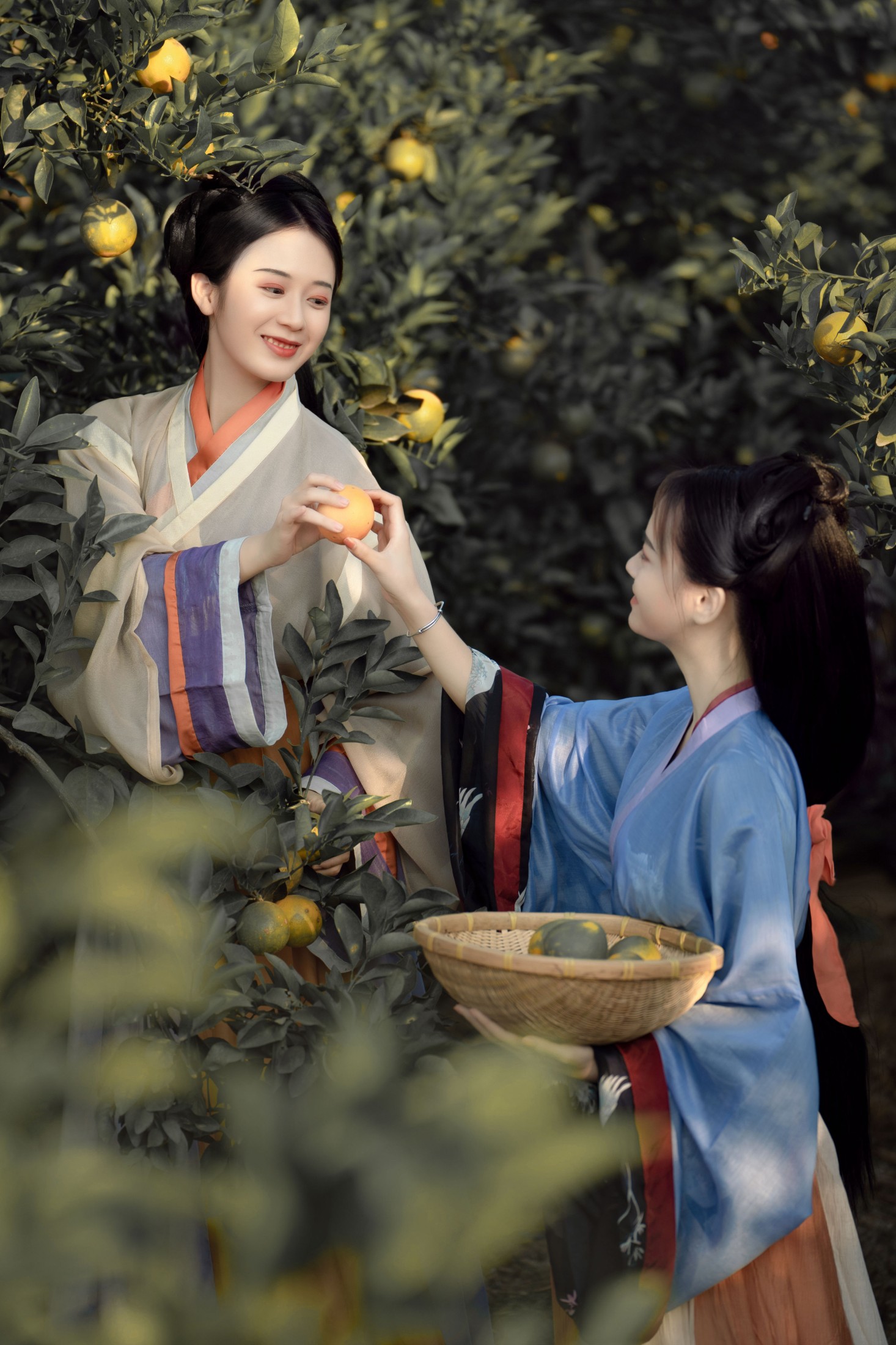 图片[3]-薯片yoyi – 《采橘》[22P]-COS写真在线网