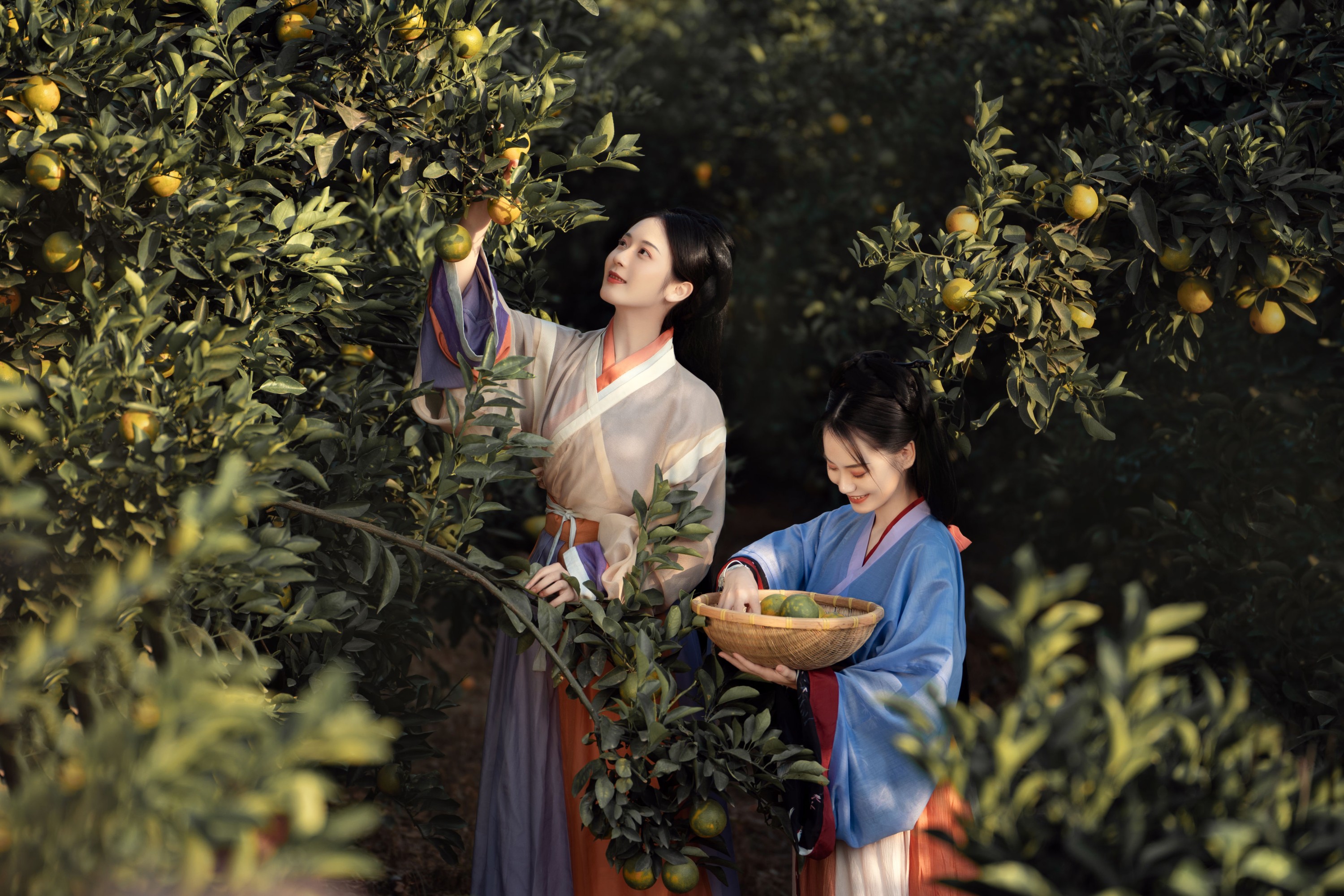 图片[4]-薯片yoyi – 《采橘》[22P]-COS写真在线网