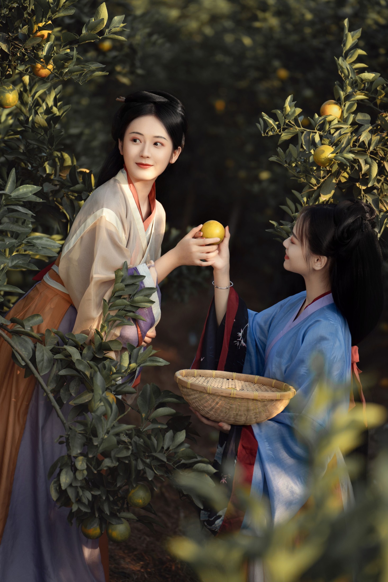 图片[5]-薯片yoyi – 《采橘》[22P]-COS写真在线网