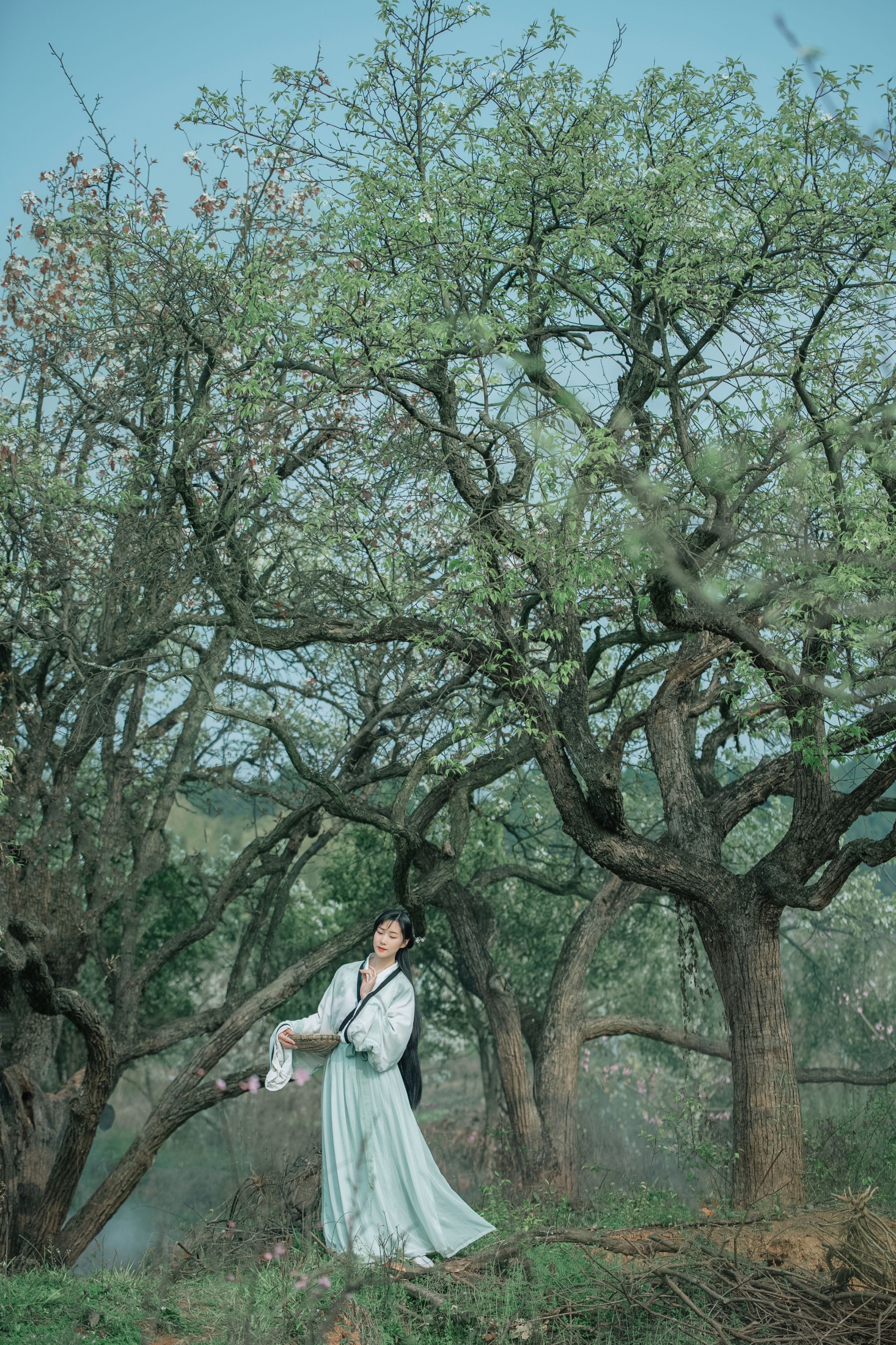 图片[3]-木哥 – 《梨香》[24P]-COS写真在线网