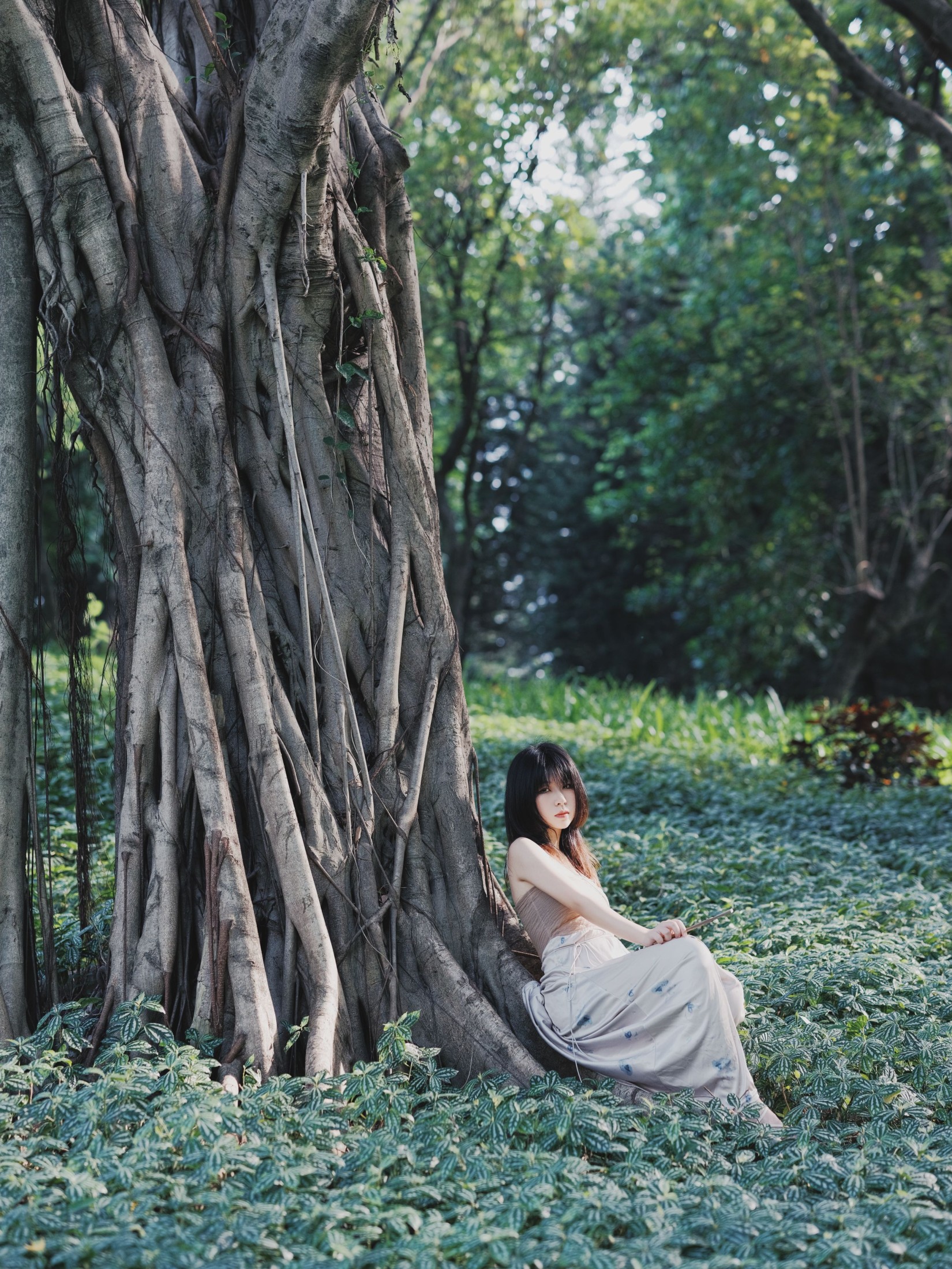 图片[4]-小田 – 《夏之森》[42P]-COS写真在线网
