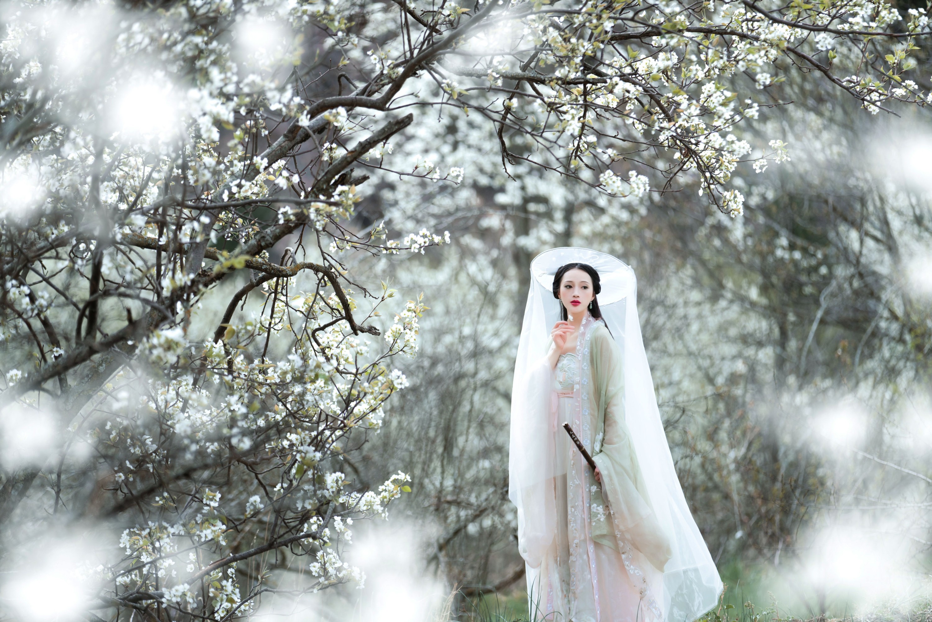 图片[3]-薇薇 – 《梨花意》[38P]-COS写真在线网