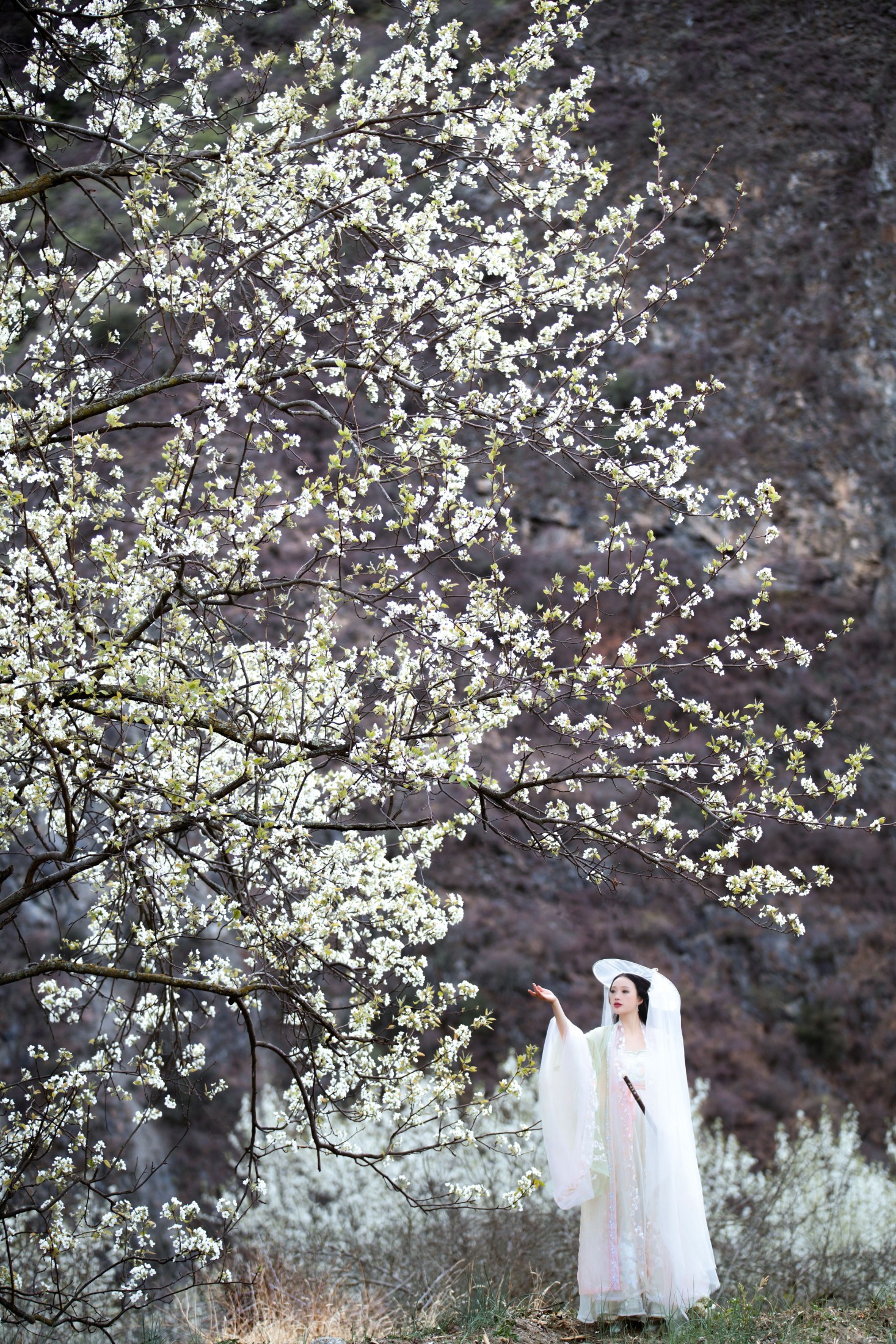 图片[4]-薇薇 – 《梨花意》[38P]-COS写真在线网