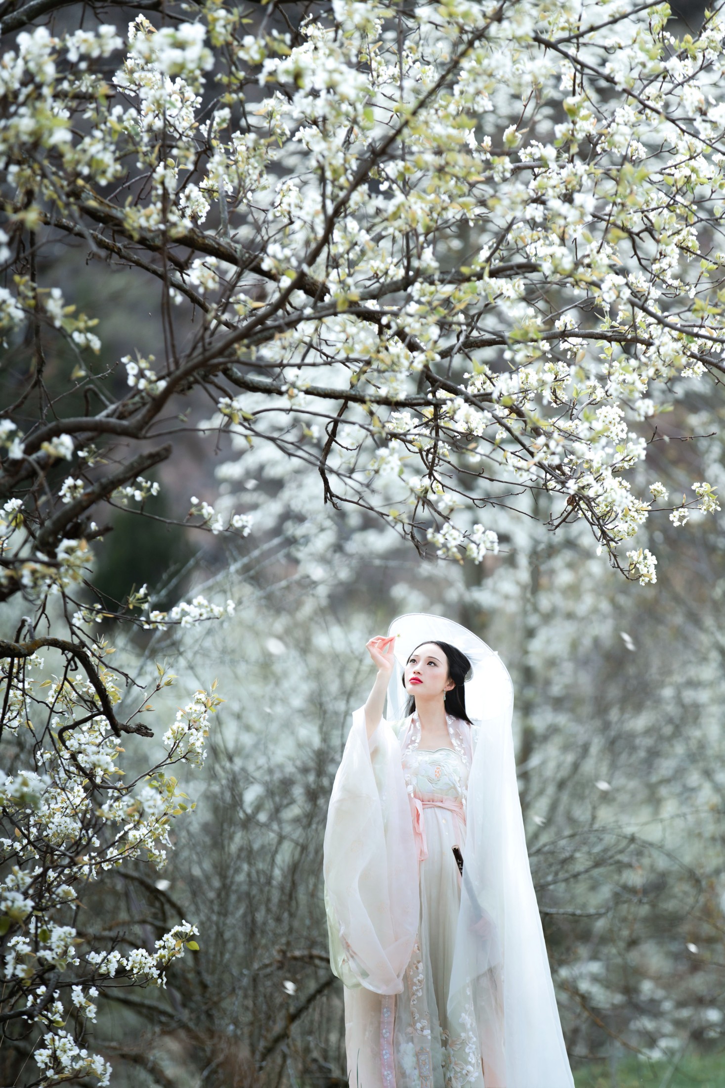 图片[5]-薇薇 – 《梨花意》[38P]-COS写真在线网