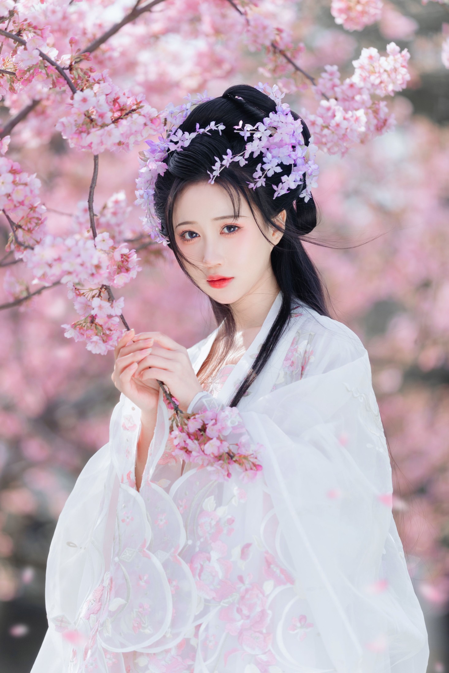 图片[4]-绮罗生的小苏苏 – 《樱花仙子》[22P]-COS写真在线网