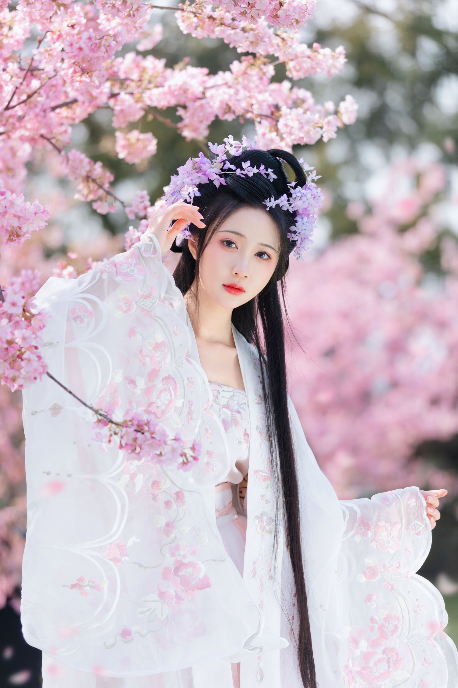 图片[3]-绮罗生的小苏苏 – 《樱花仙子》[22P]-COS写真在线网