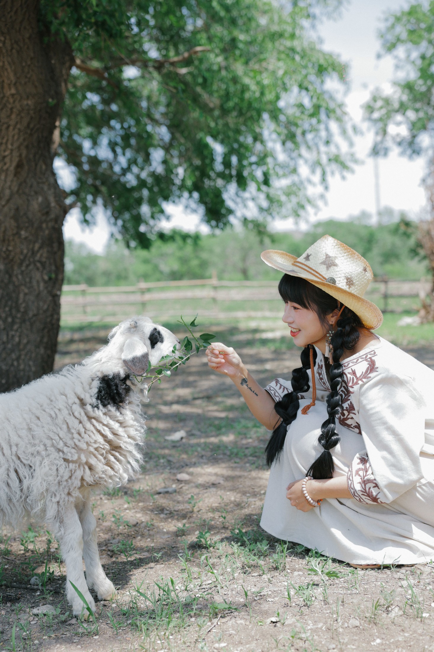 图片[5]-蓝胖子 – 《草原的夏日》[36P]-COS写真在线网