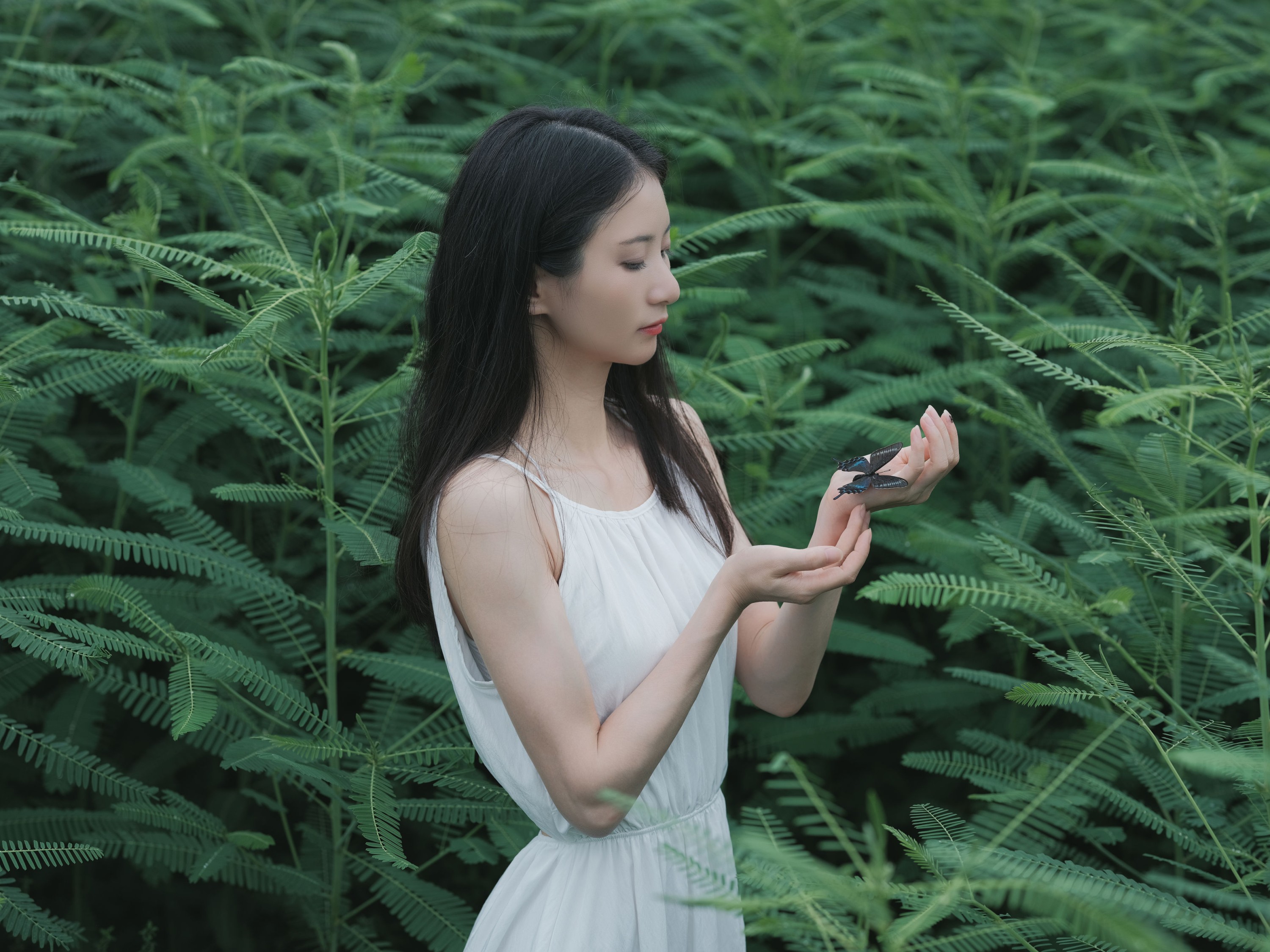 图片[4]-小昭 – 《花床少女》[40P]-COS写真在线网