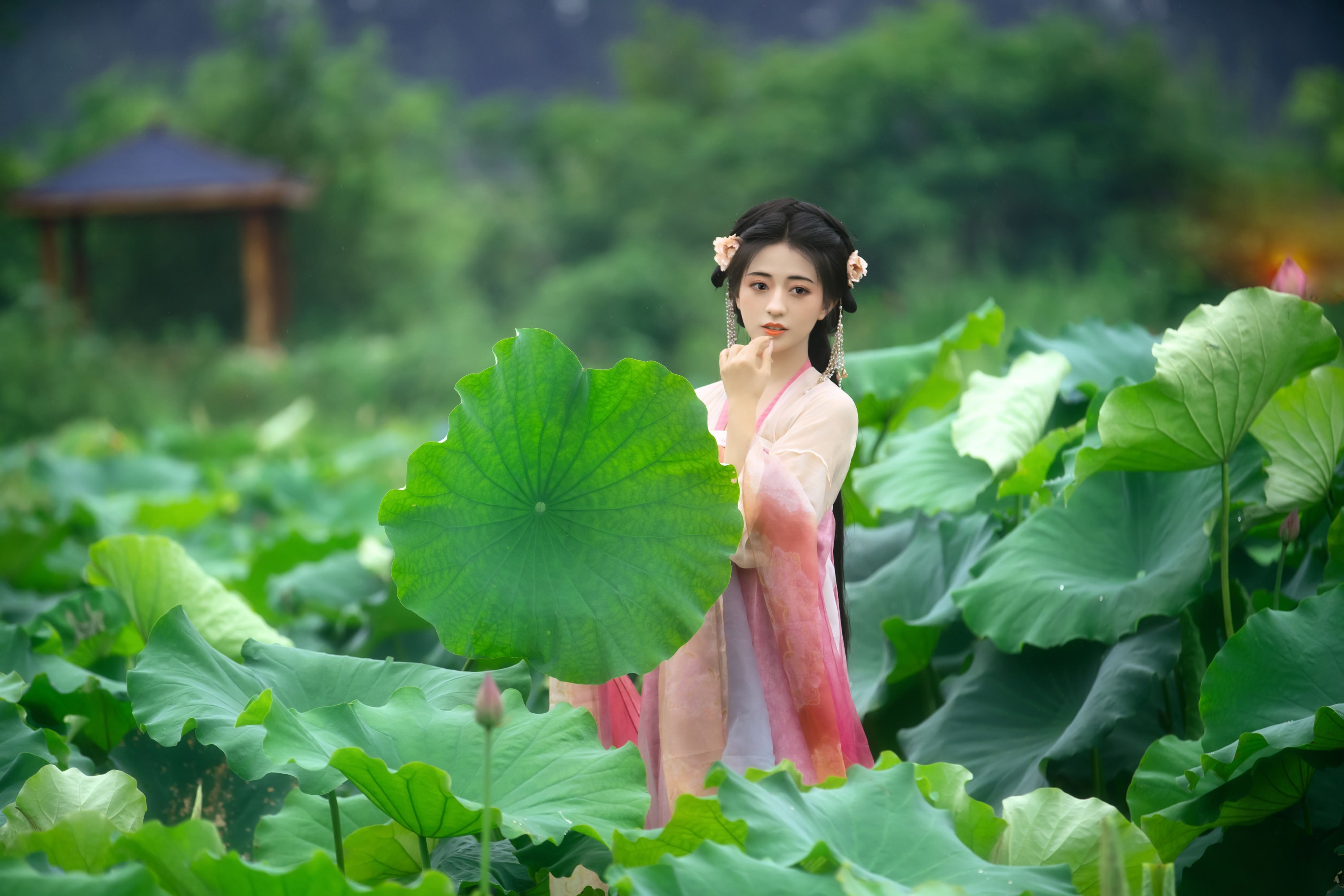 图片[6]-晚晚 – 《采莲曲》[53P]-COS写真在线网