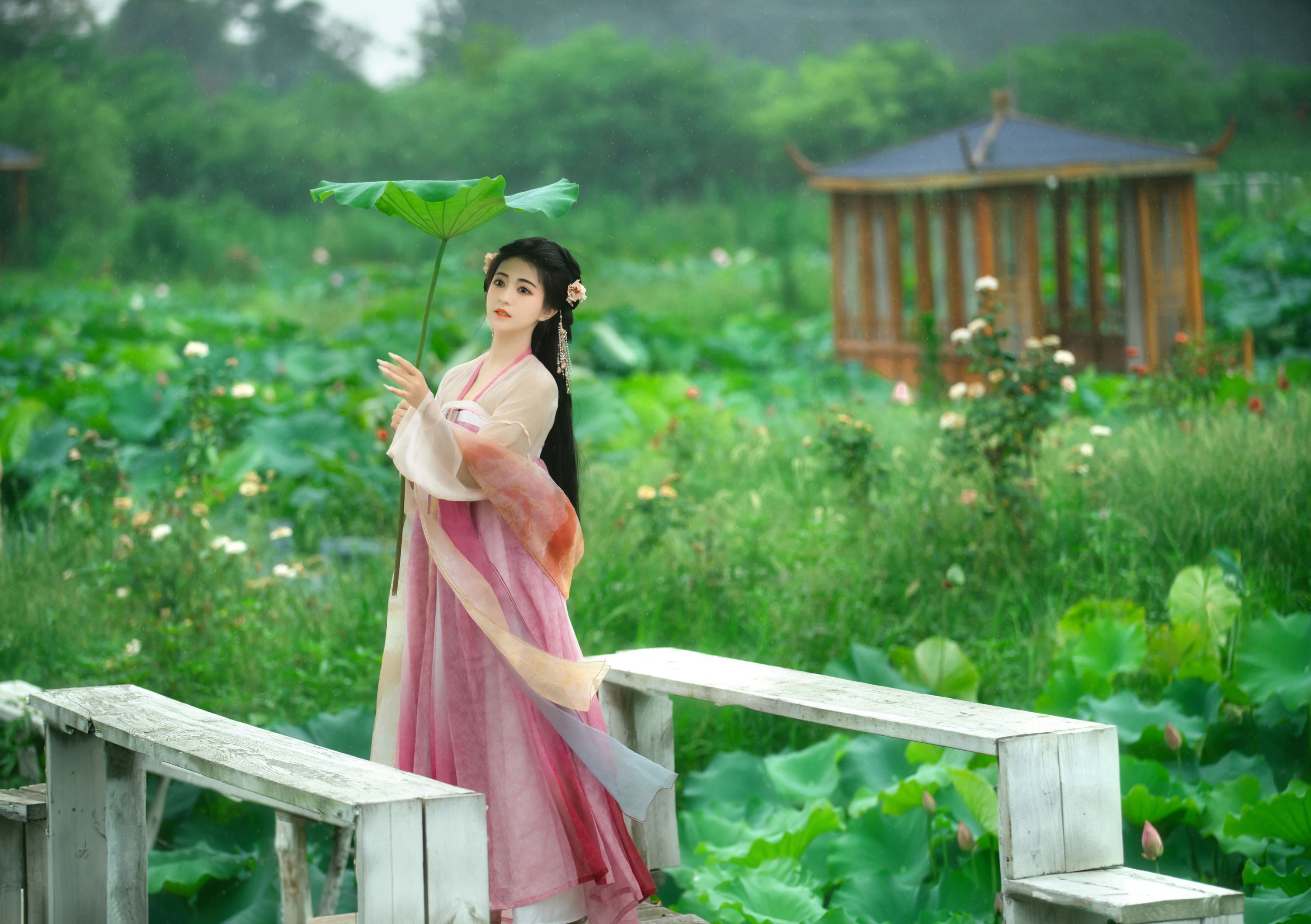 图片[5]-晚晚 – 《采莲曲》[53P]-COS写真在线网