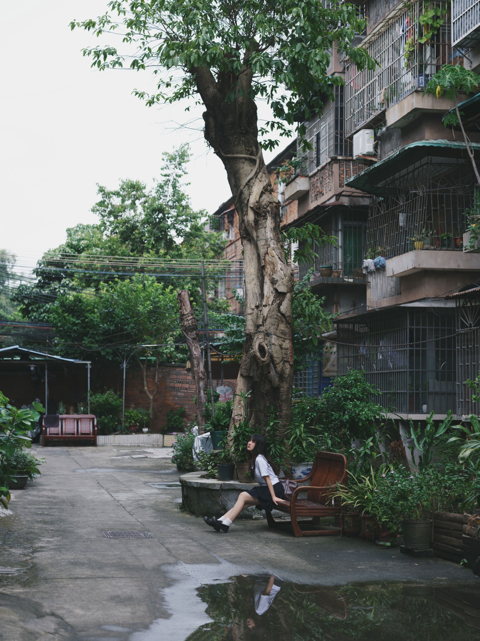 图片[4]-我变成猪了你负责吗 – 《老街与猫》[39P]-COS写真在线网