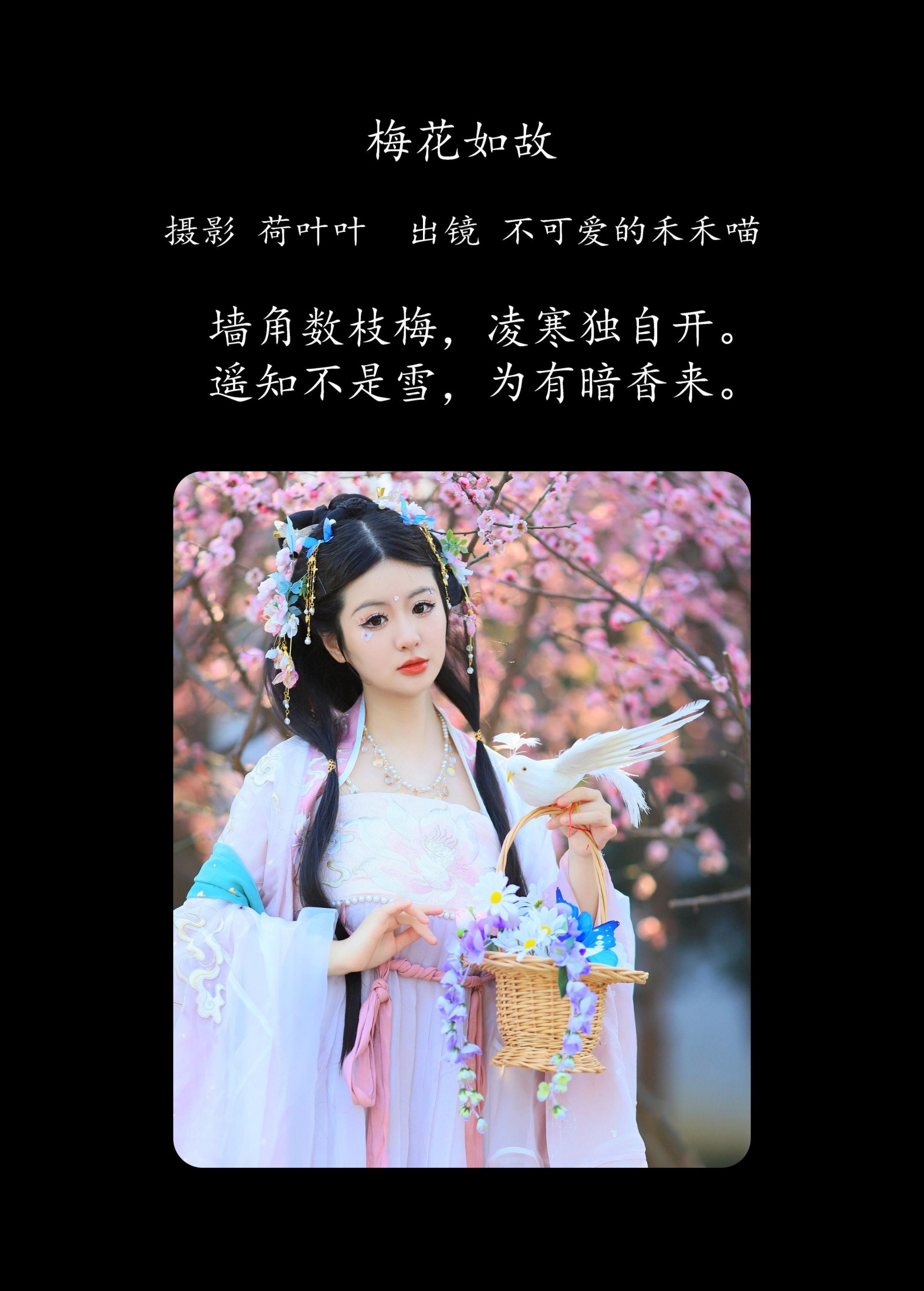 不可爱的禾禾喵 – 《梅花如故》[28P] - 秀人网免费无水印在线套图写真