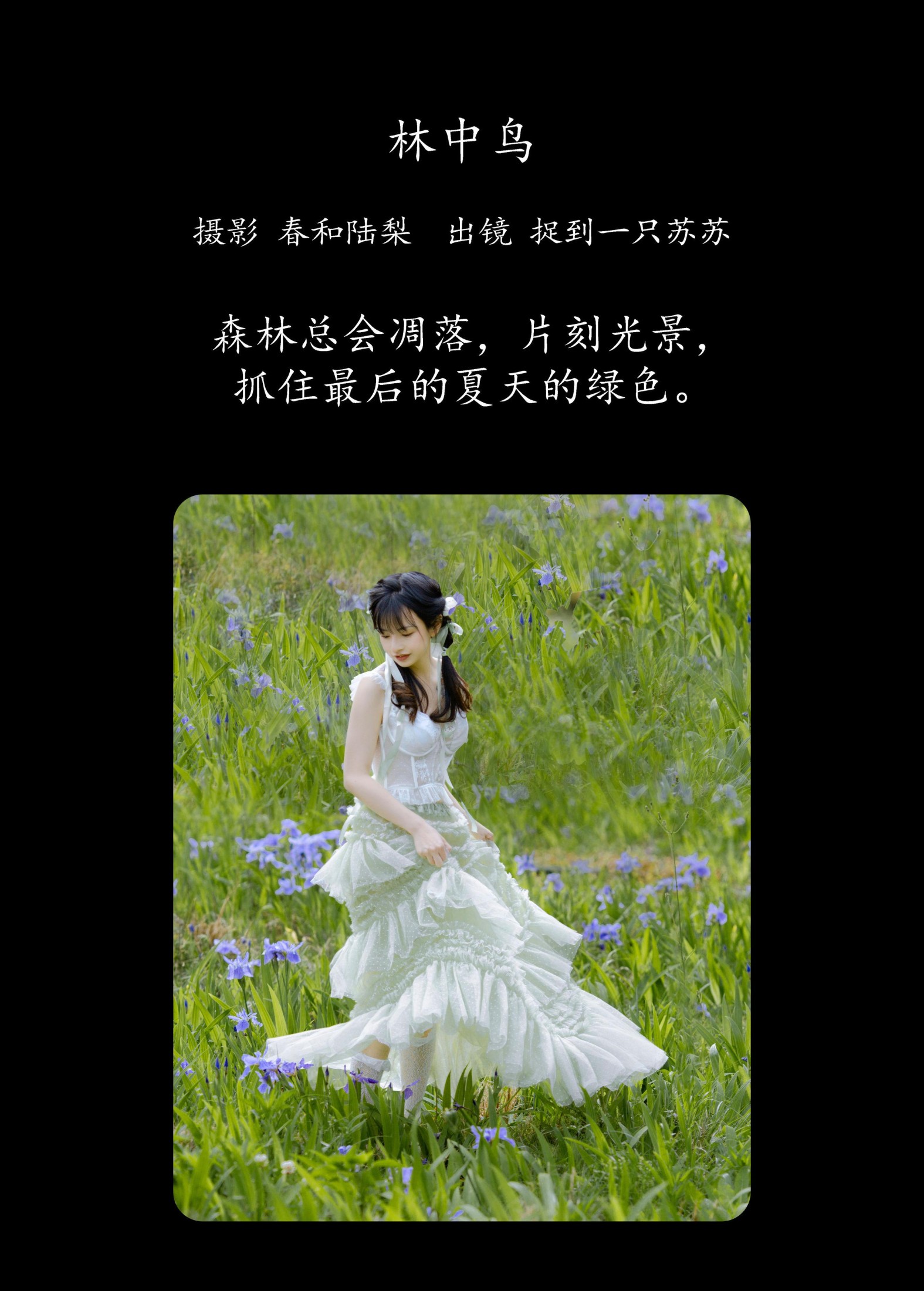 图片[2]-捉到一只苏苏 – 《林中鸟》[21P]-COS写真在线网